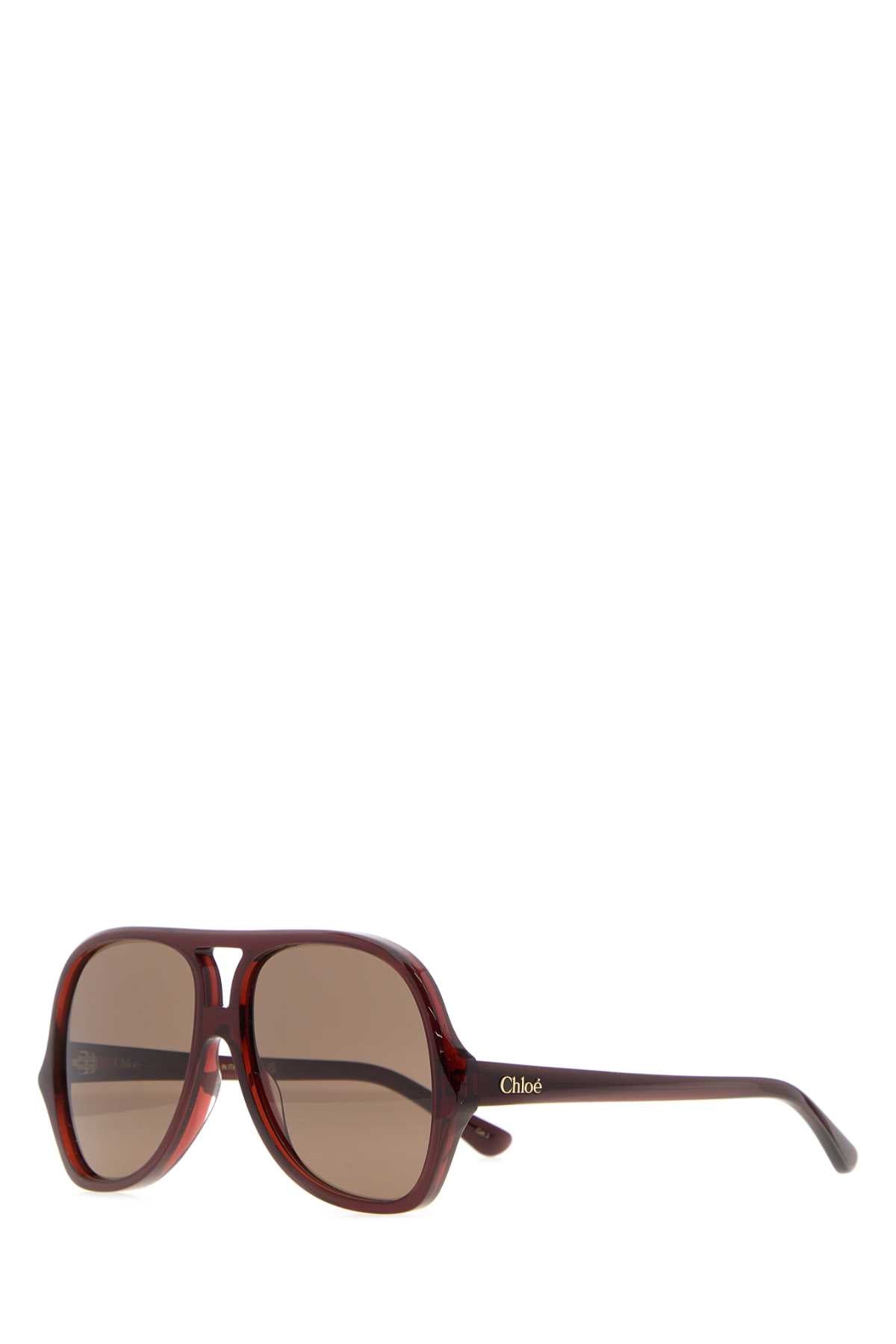 Chloe Women Burgundy Acetate Salome Sunglasses CHLOE