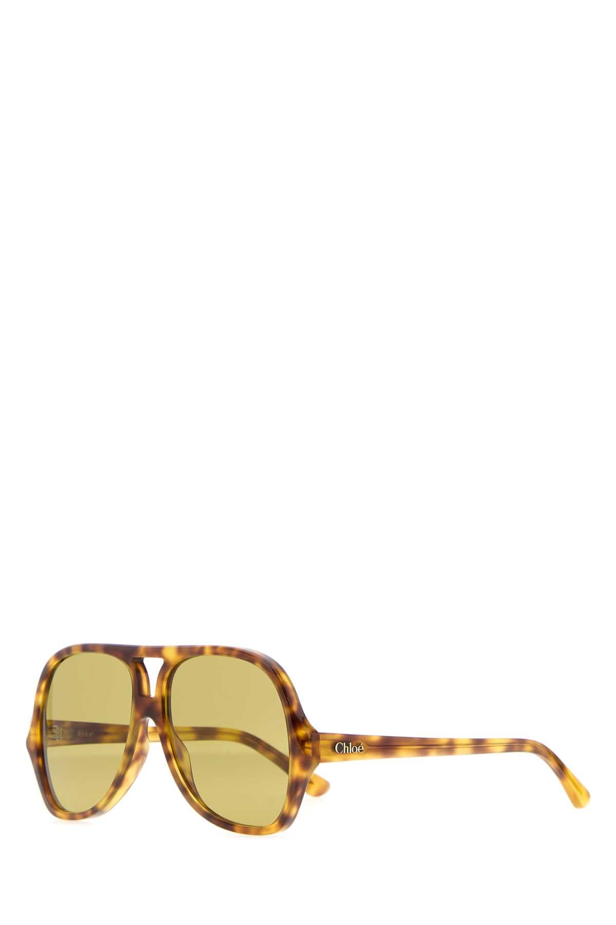 Chloe Women Multicolor Acetate Salome Sunglasses CHLOE