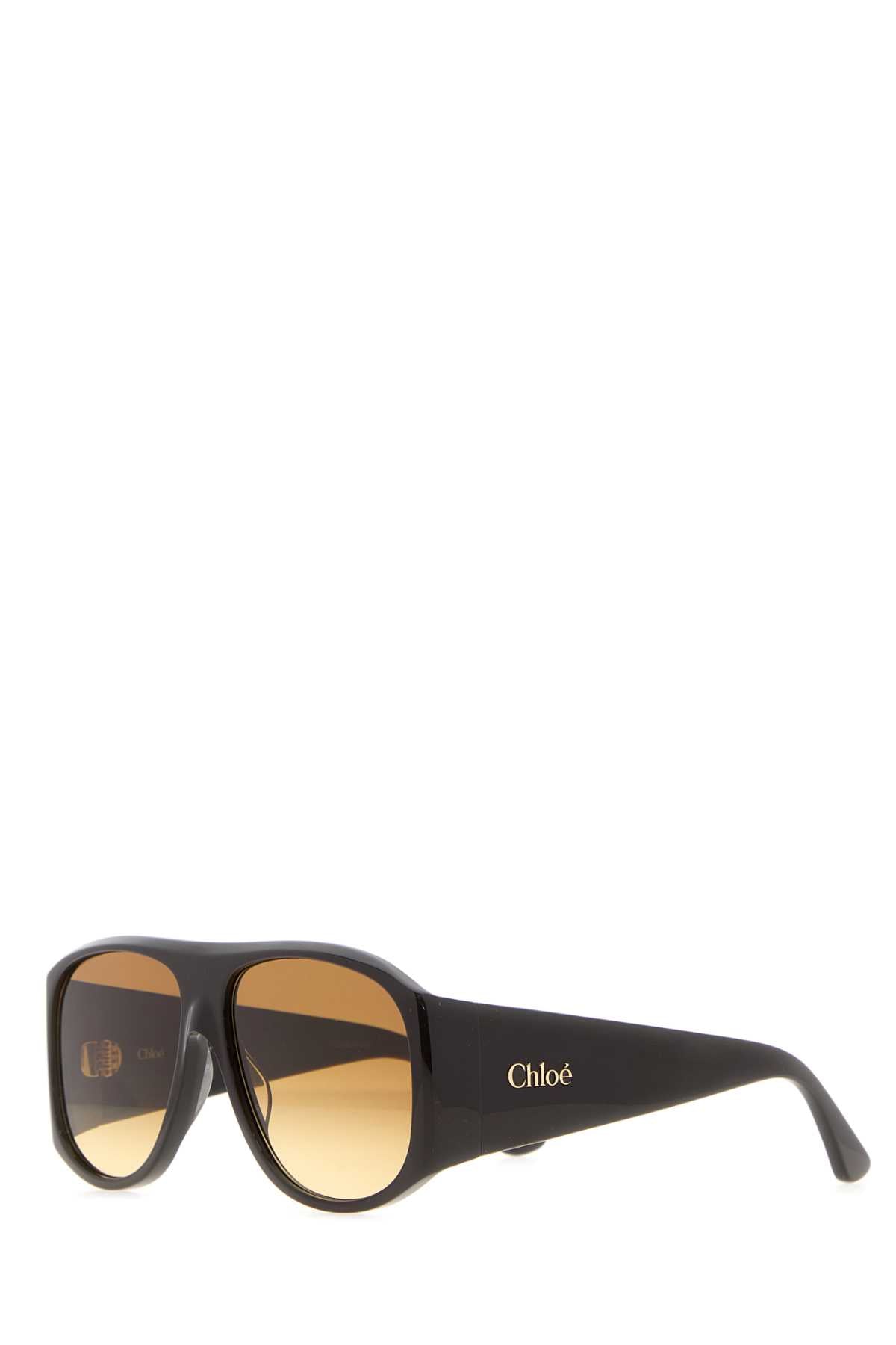 Chloe Women Dark Brown Acetate Izia Sunglasses CHLOE