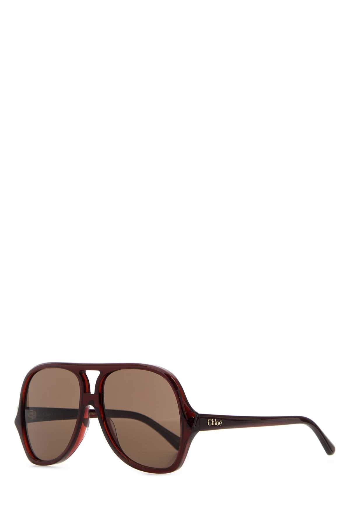 Chloe Women Burgundy Acetate Salome Sunglasses CHLOE