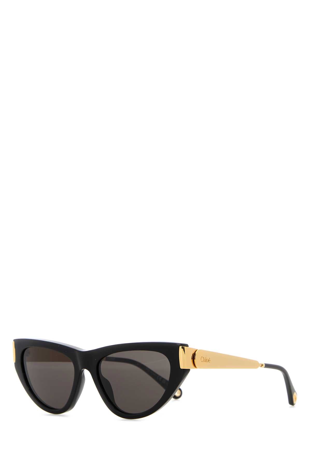 Chloe Women Black Acetate Holly Sunglasses CHLOE