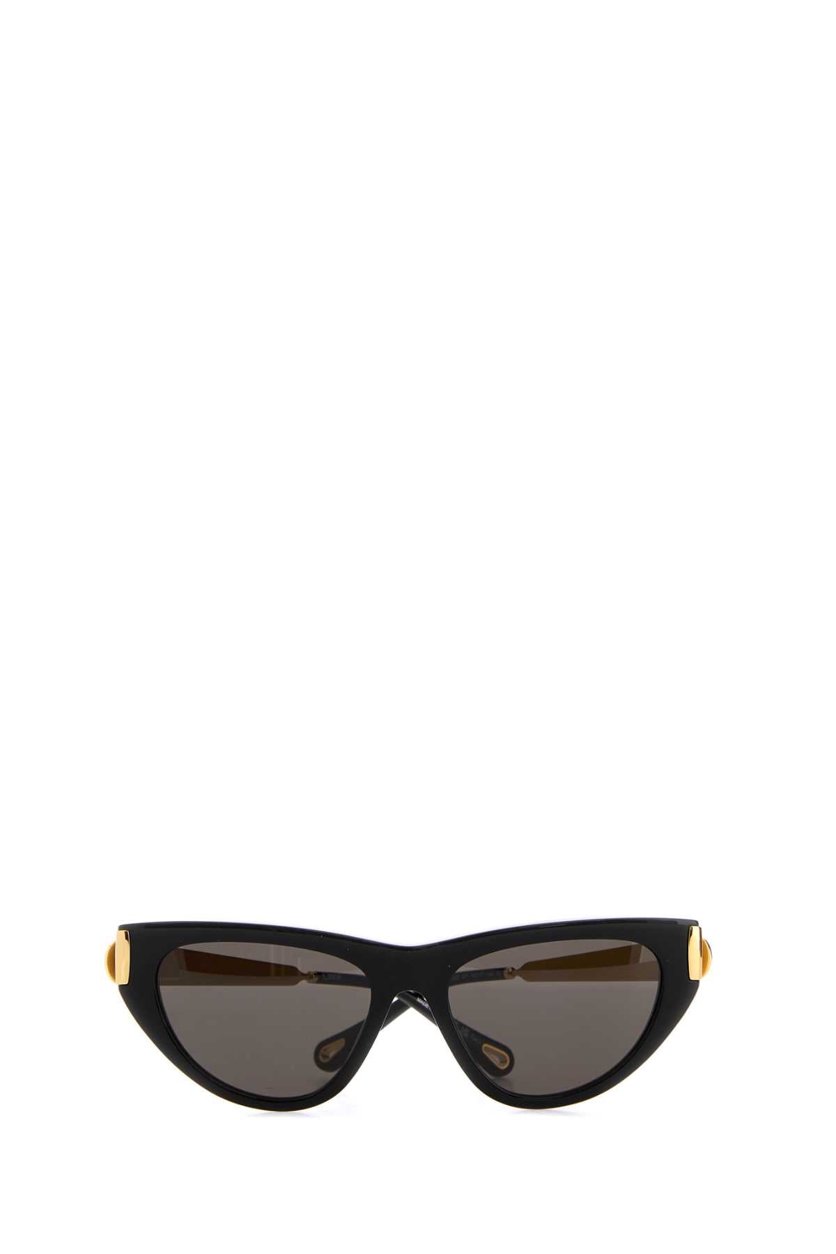Chloe Women Black Acetate Holly Sunglasses CHLOE