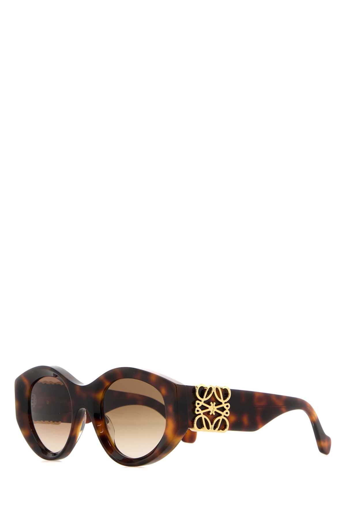 Loewe Women Printed Acetate Sunglasses LOEWE
