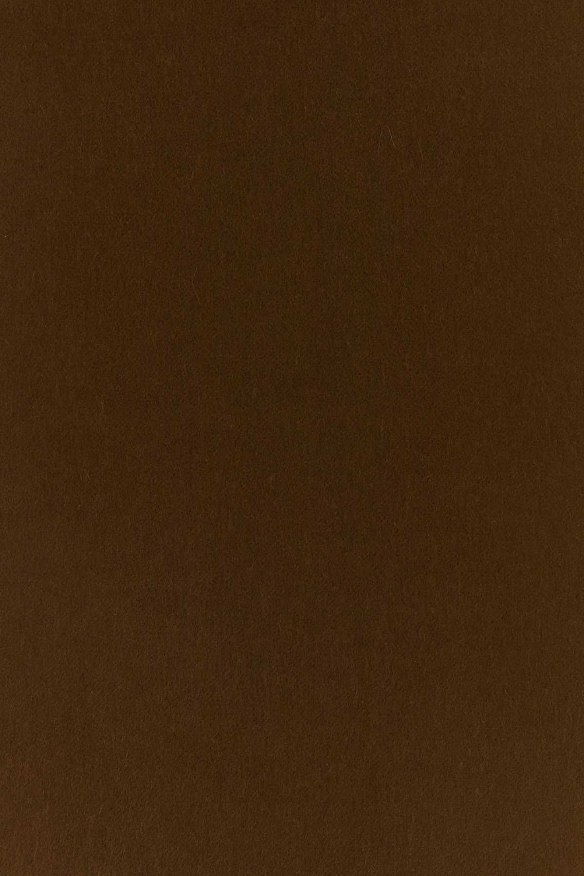 Max Mara Women Chocolate Cashmere Dalia Scarf MAX MARA