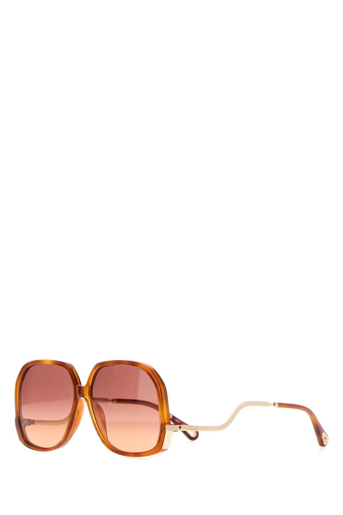 Chloe Women Printed Acetate Sunglasses CHLOE