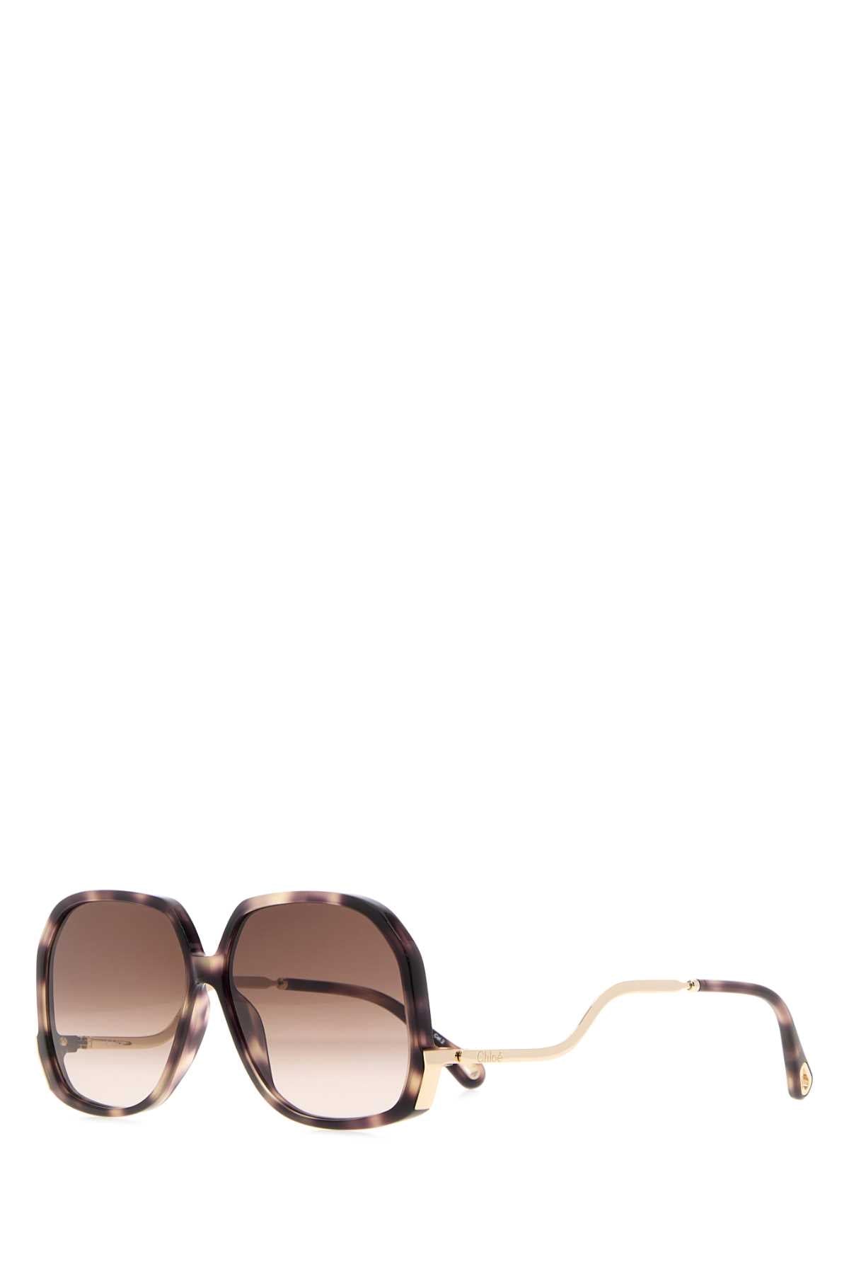 Chloe Women Printed Acetate Sunglasses CHLOE
