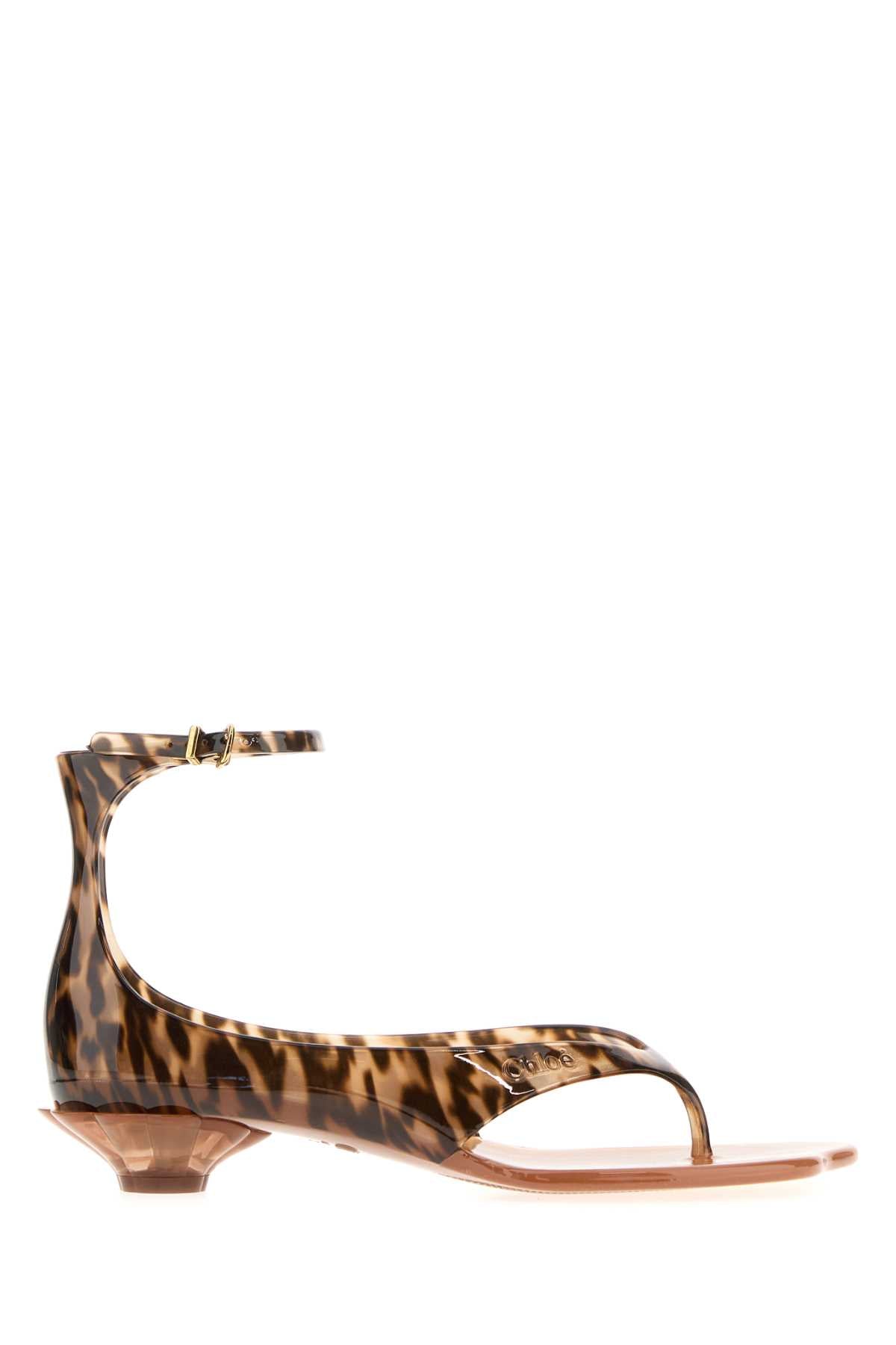 Chloe Women Printed Tpu Chloe Jelly Thong Sandals CHLOE