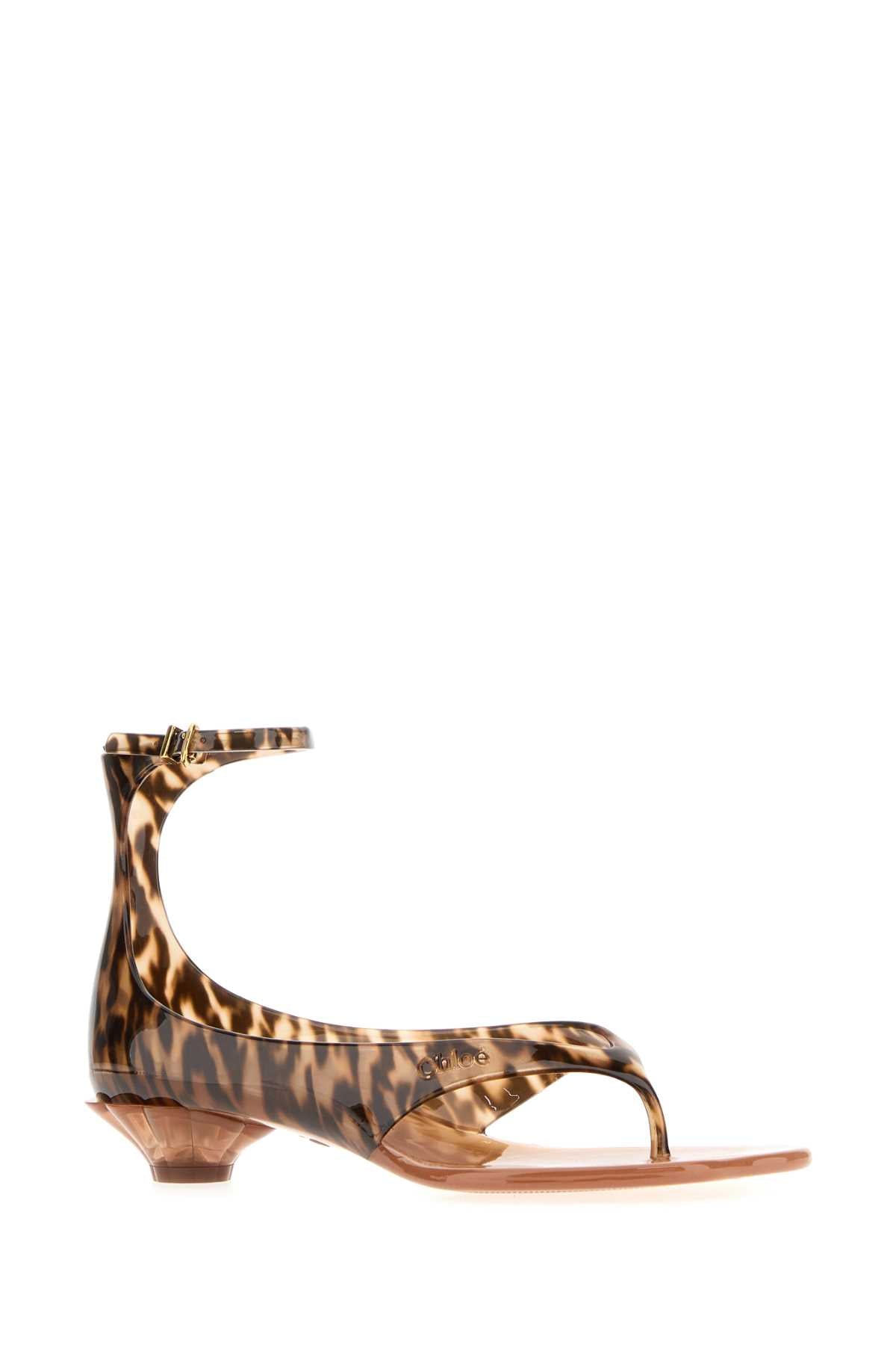 Chloe Women Printed Tpu Chloe Jelly Thong Sandals CHLOE