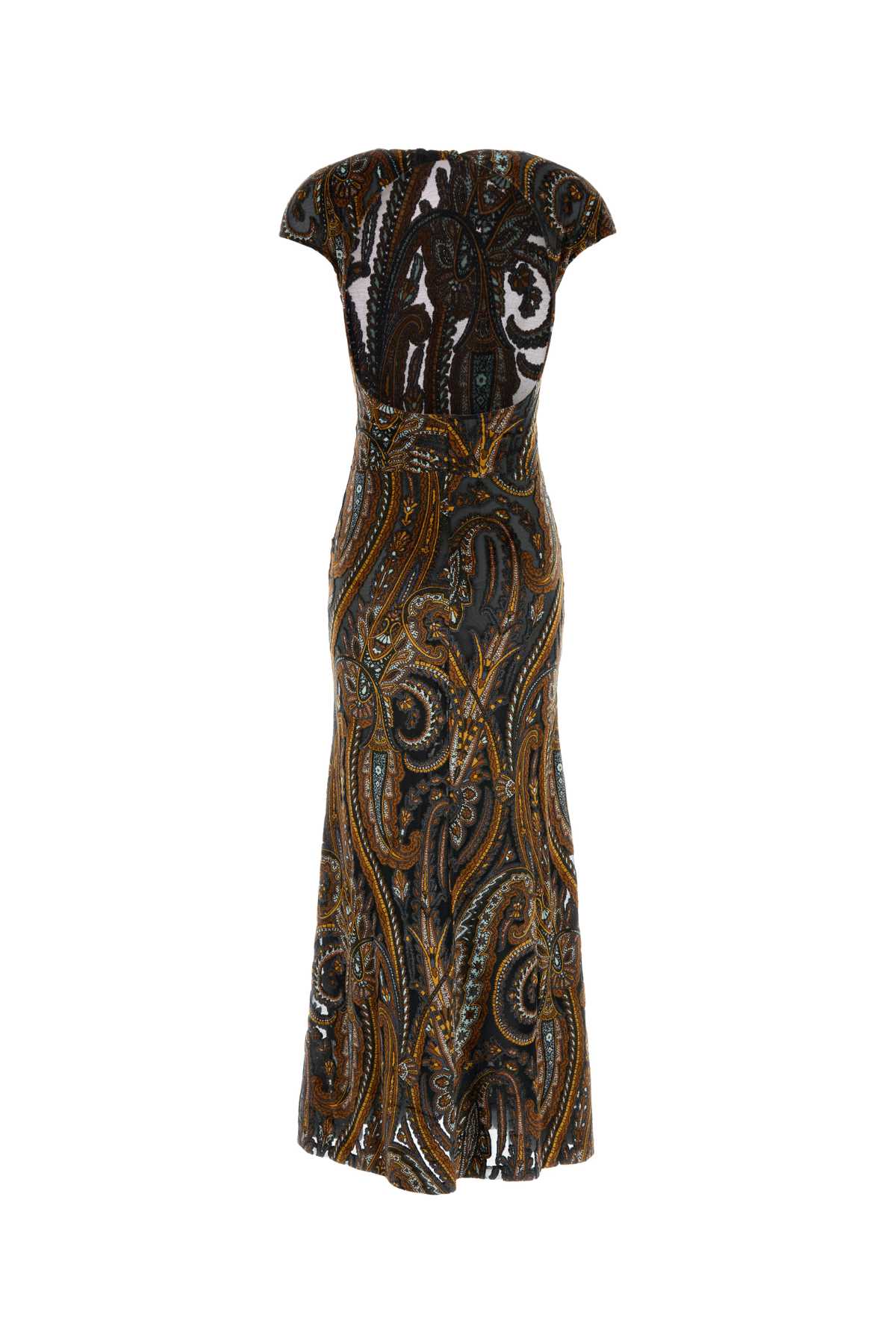 Etro Women Printed Stretch Velvet Long Dress ETRO