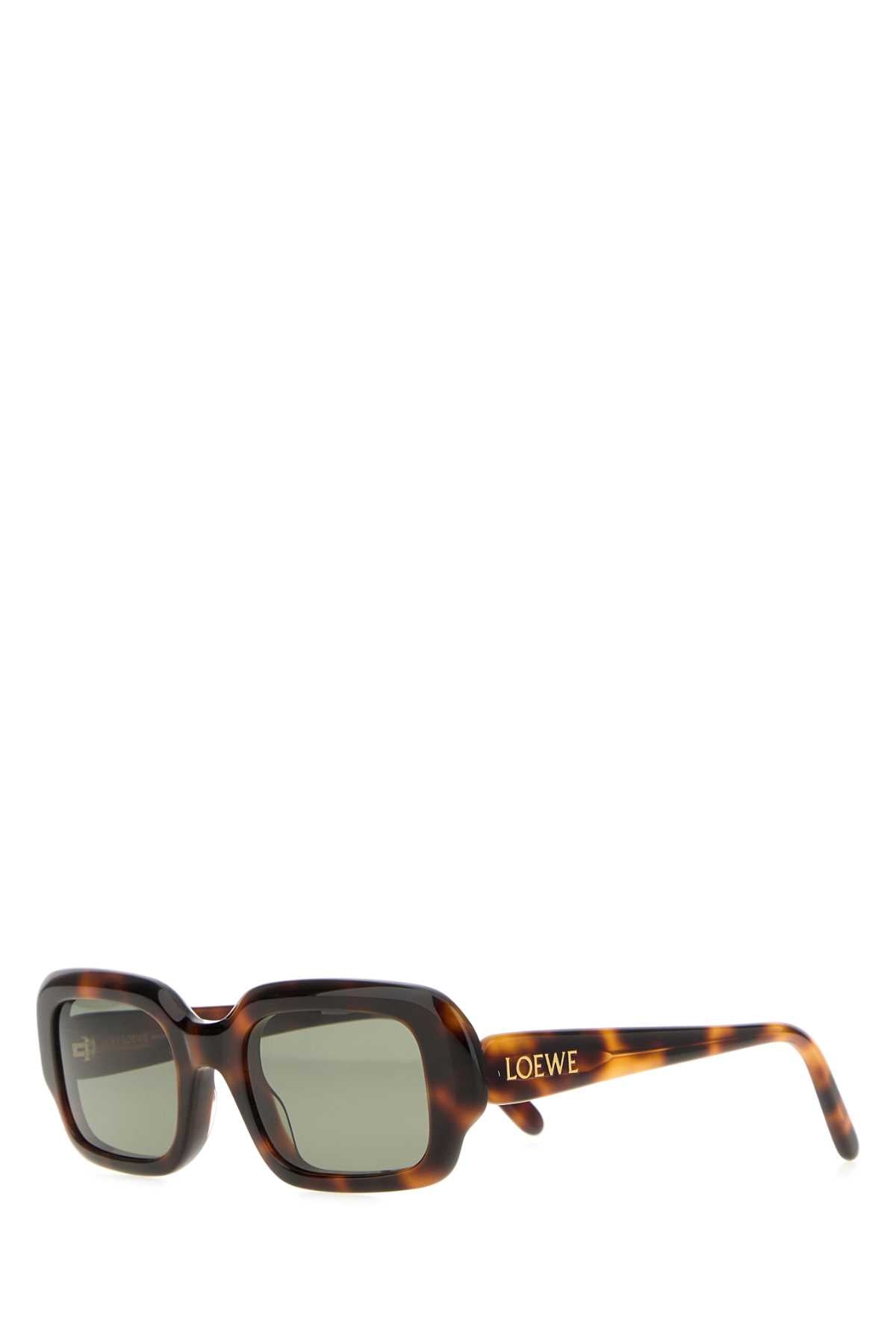 Loewe Women Printed Acetate Sunglasses LOEWE