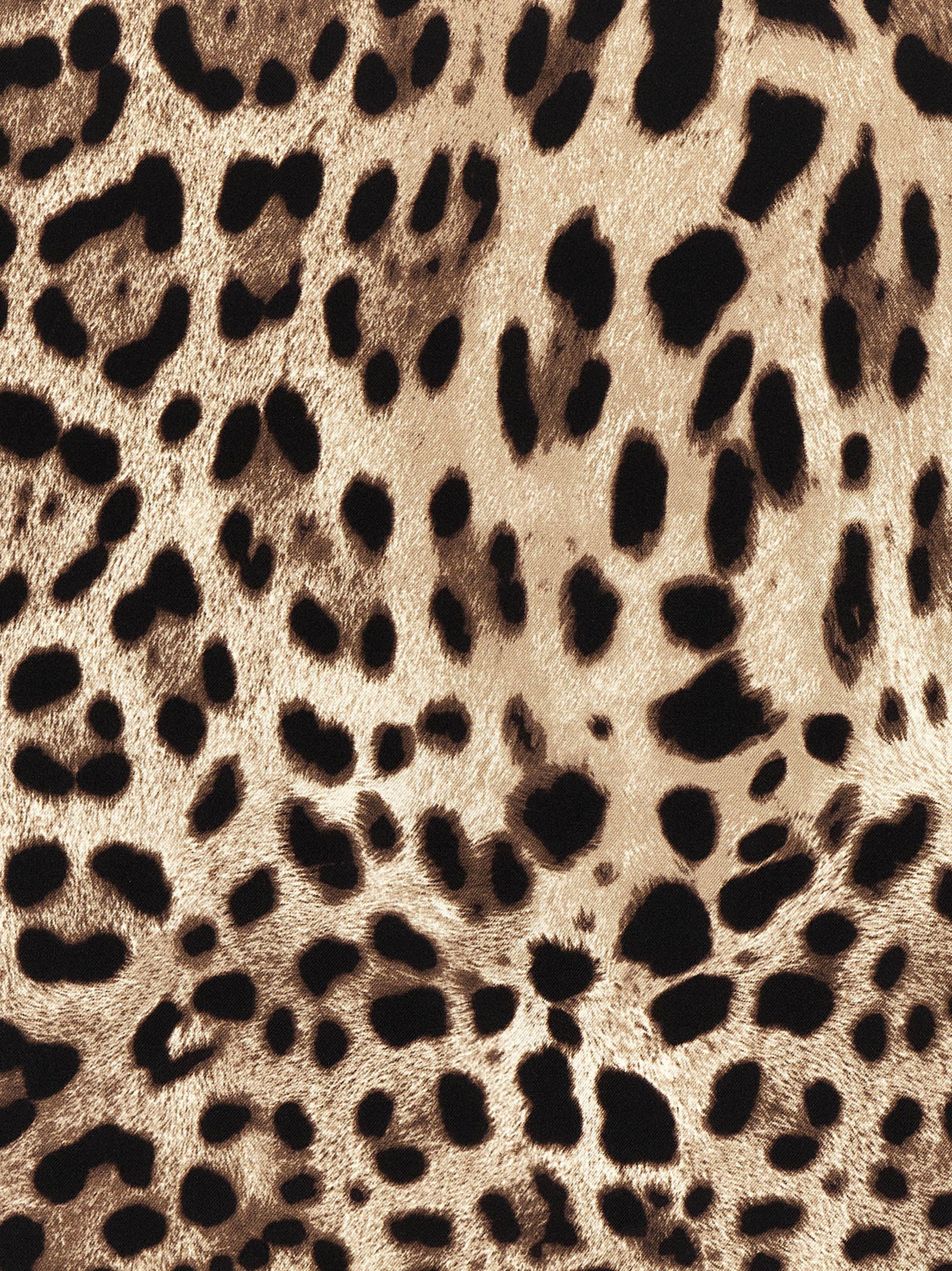Dolce & Gabbana Women 'Leopardo' Scarf DOLCE & GABBANA