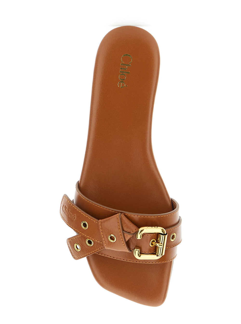 Chloé Women 'Mae' Brown Sandals With Strap Embellishment With Logo In Leather Woman CHLOE