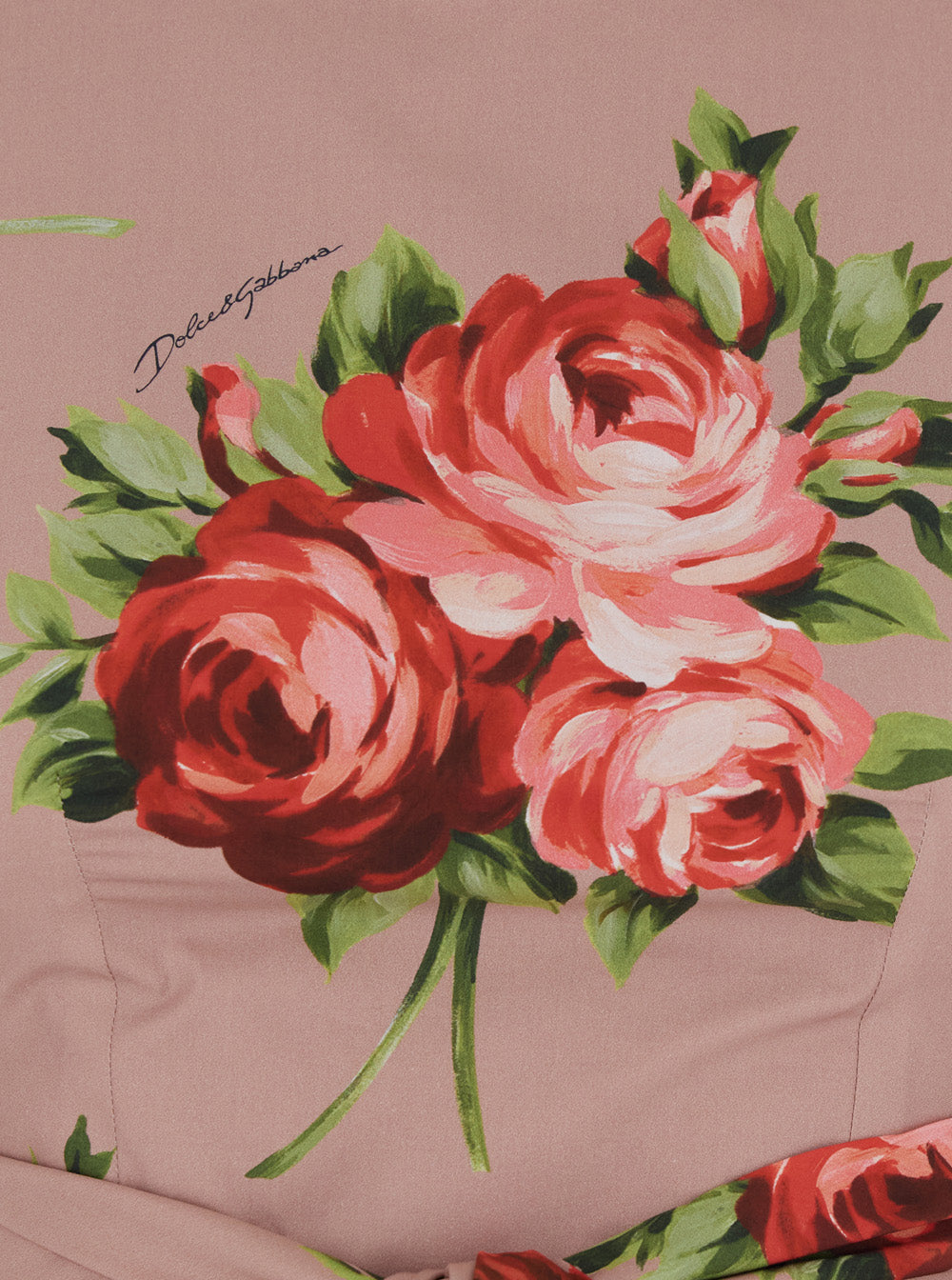 Dolce & Gabbana Women Pink Dress With Floral Print And Zip Closure At The Back In Cotton For Women DOLCE & GABBANA