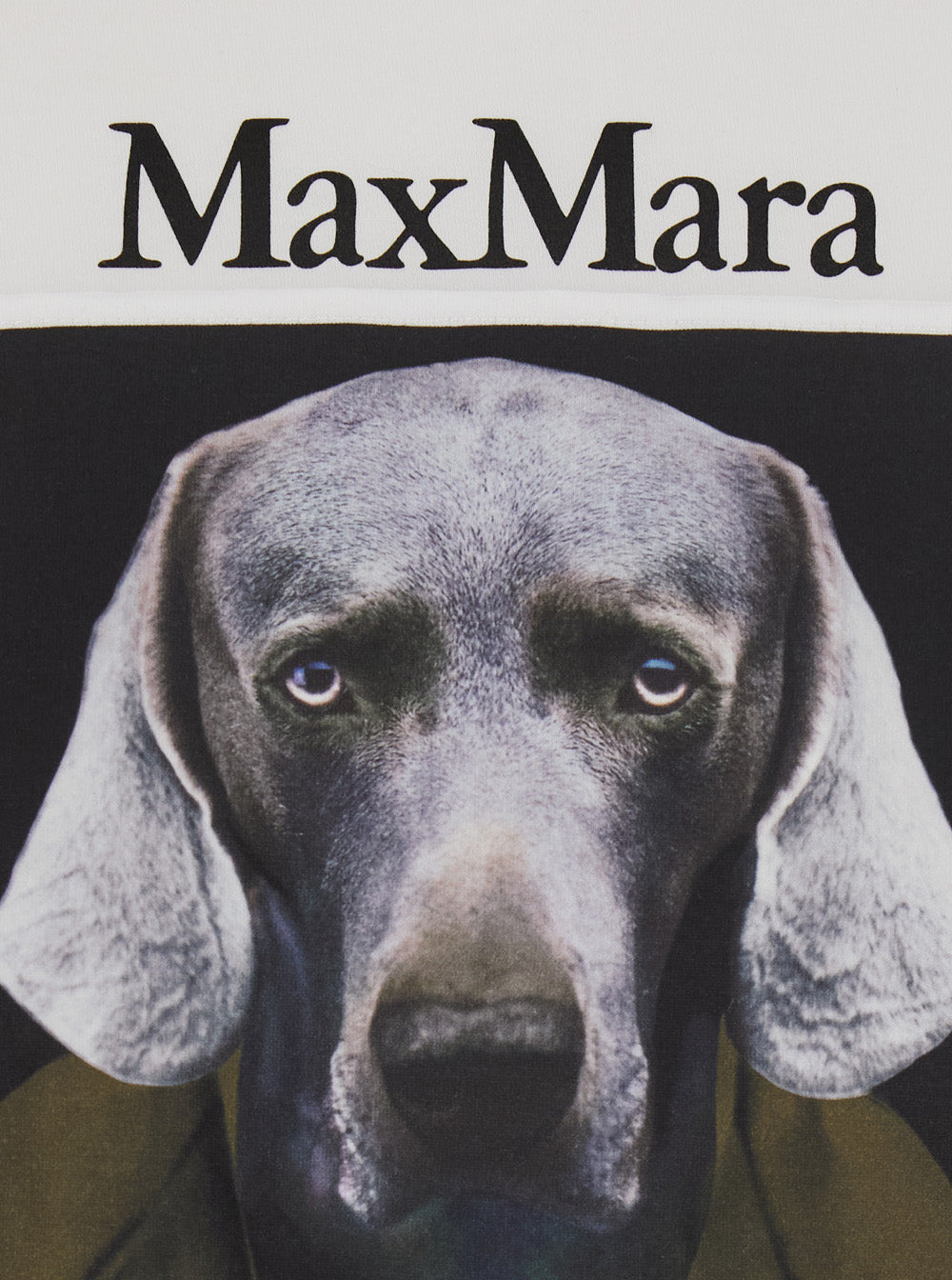 Max Mara Women White Cotton Short Sleeve Round Neck T-Shirt For Women MAX MARA