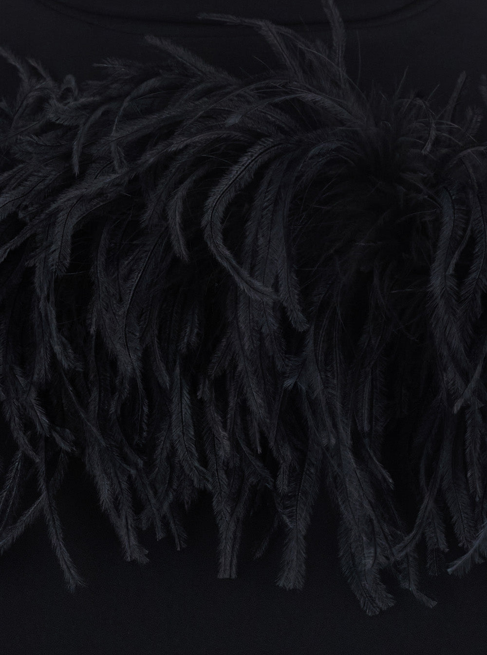 P.A.R.O.S.H. Women Feathers Dress With Polyester Details And Black Color For Women P.A.R.O.S.H.