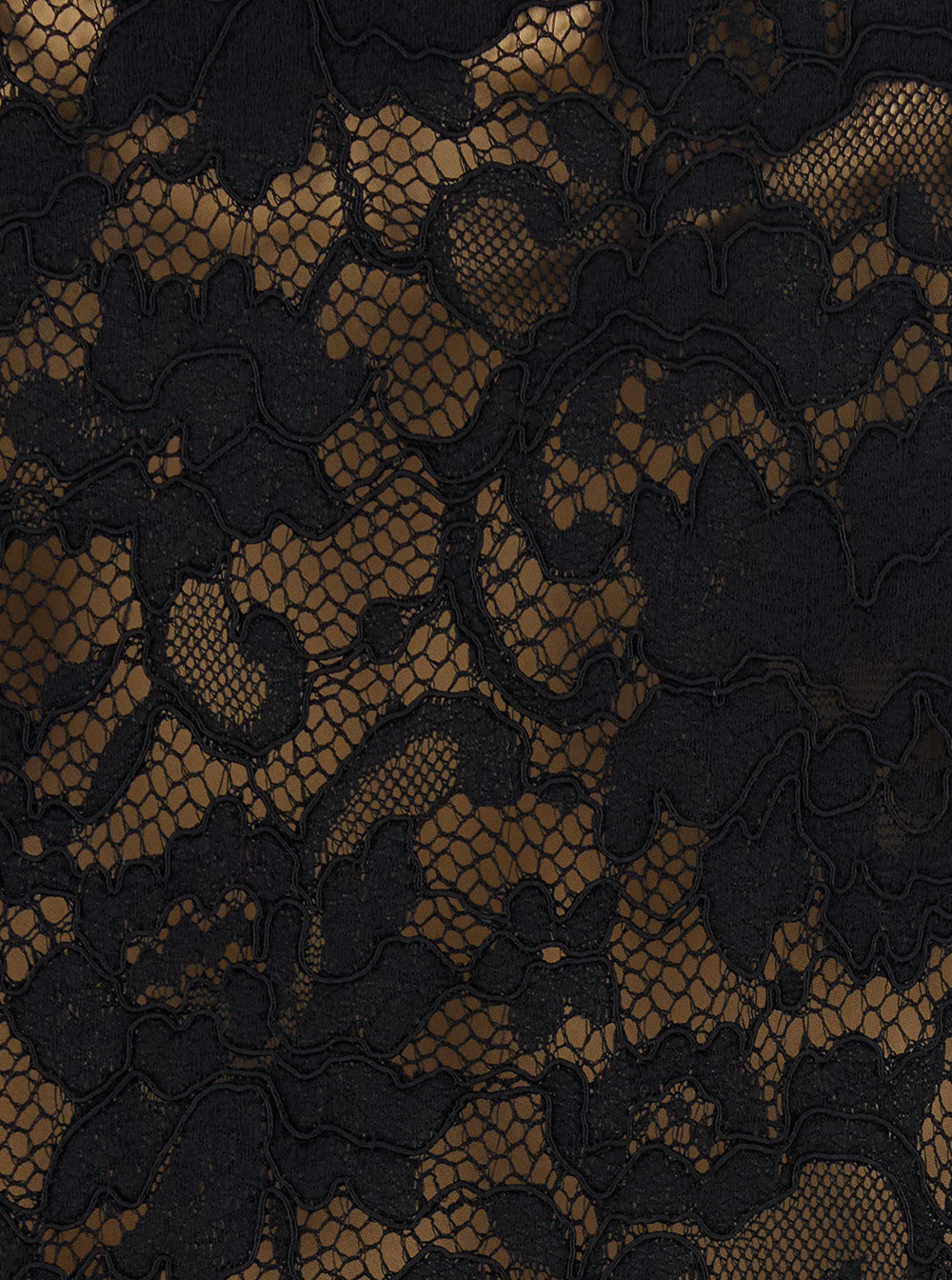 Leplain Women Black A-Line Skirt With Scalloped Hem And All-Over Lace Embroidery In Fabric For Women LEPLAIN