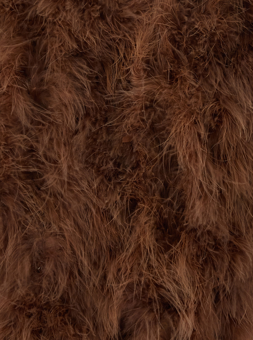 Yves Salomon Women Beige Short Shearling Jacket With Round Collar And Three-Quarter Sleeves In Fur For Women YVES SALOMON