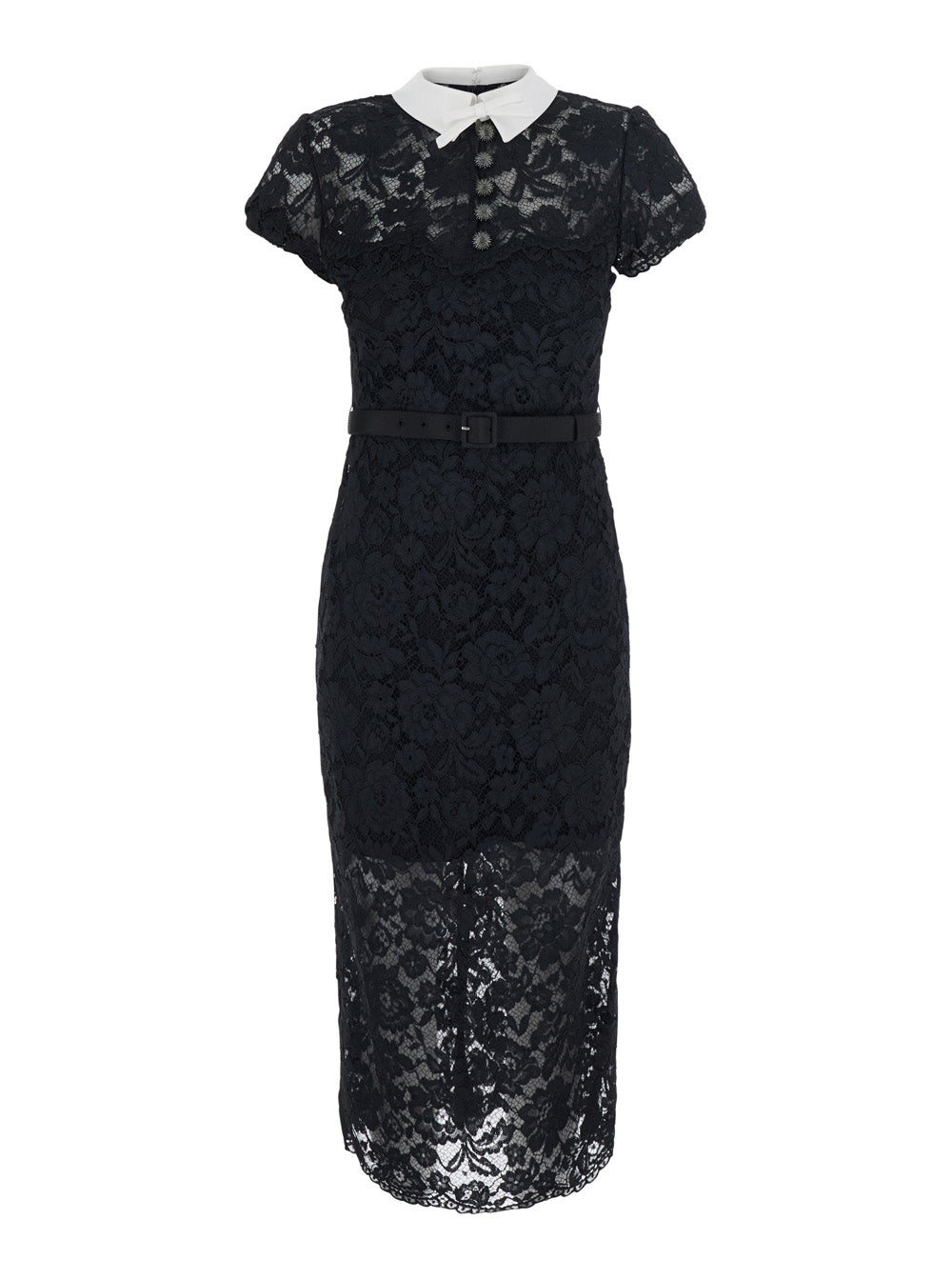 Self-Portrait Women Midi Dress With Contrasting Lace Collar And Long Sleeves, In Polyester, Black, Woman SELF-PORTRAIT