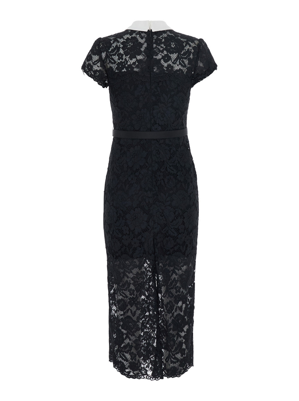 Self-Portrait Women Midi Dress With Contrasting Lace Collar And Long Sleeves, In Polyester, Black, Woman SELF-PORTRAIT