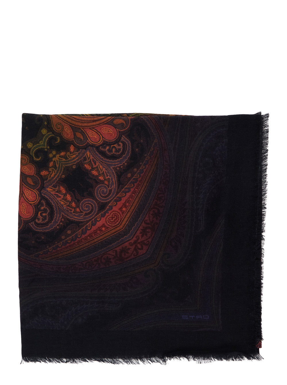 Etro Women 'Aida' Multicolor Scarf With Logo Lettering And All-Over Print In Modal And Cashmere For Women ETRO