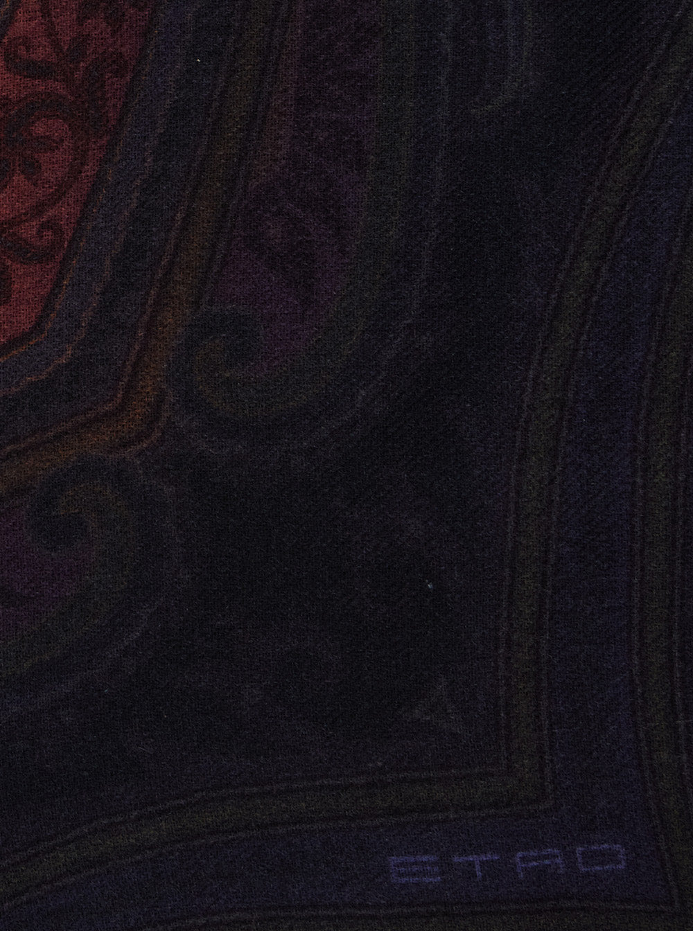 Etro Women 'Aida' Multicolor Scarf With Logo Lettering And All-Over Print In Modal And Cashmere For Women ETRO