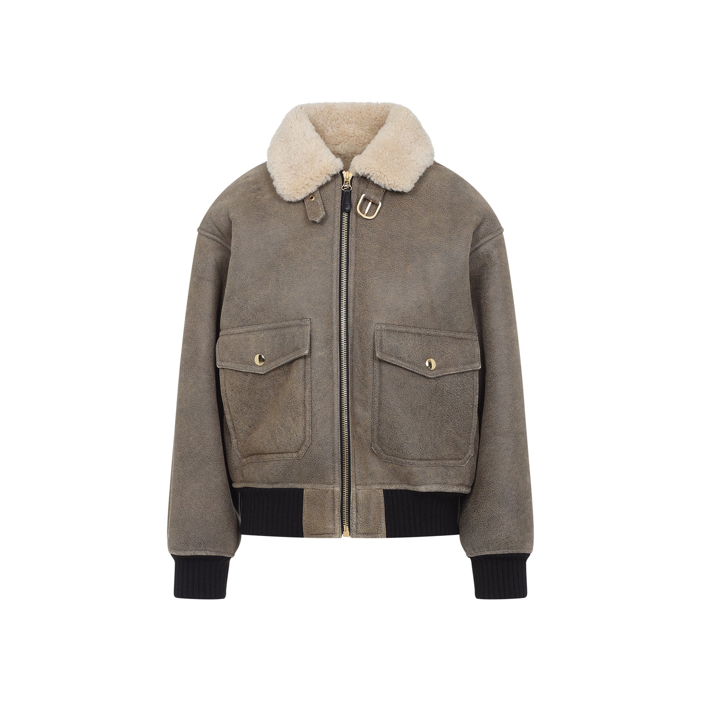 Celine Aviateur Brode Blouson Women CELINE