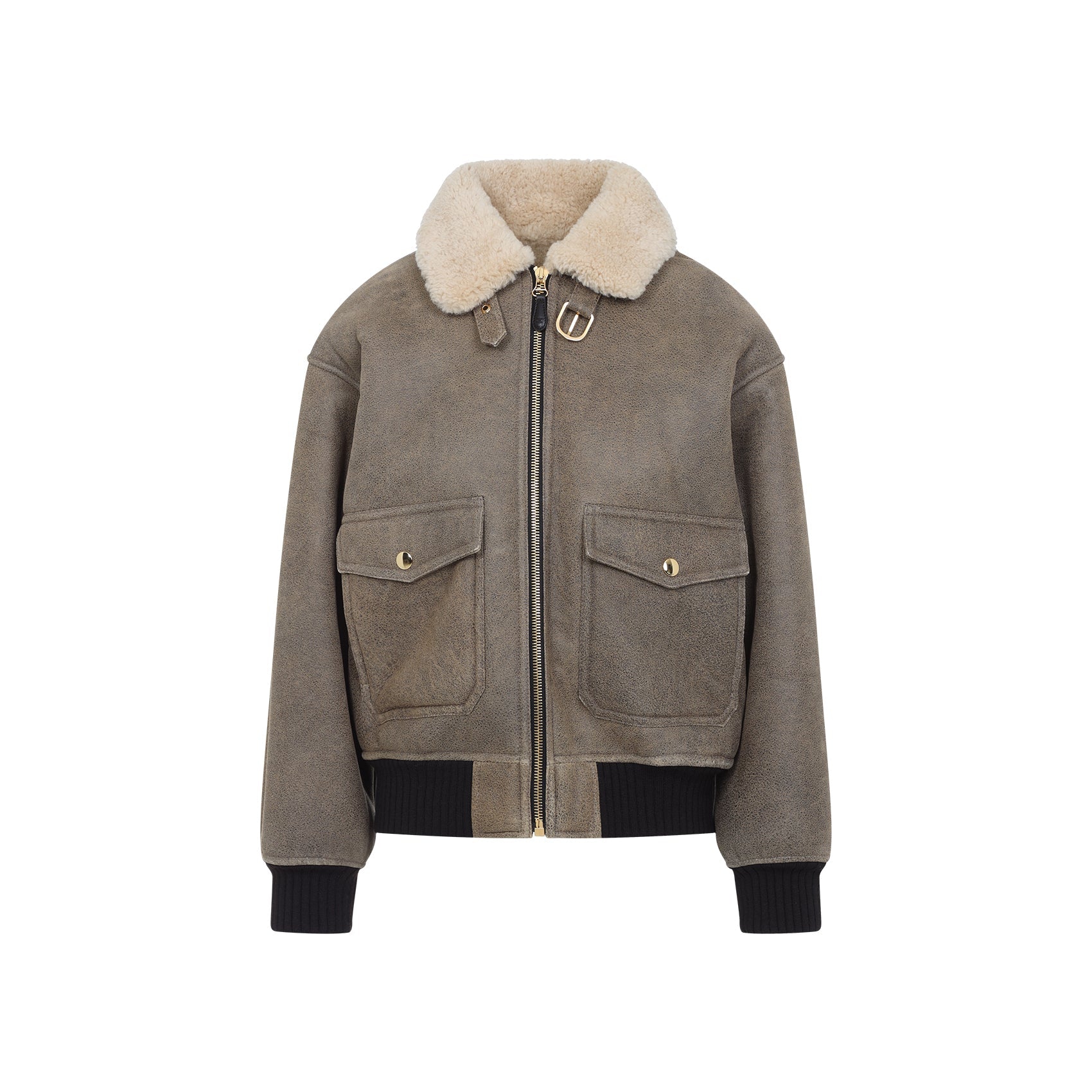 Celine Aviateur Brode Blouson Women CELINE