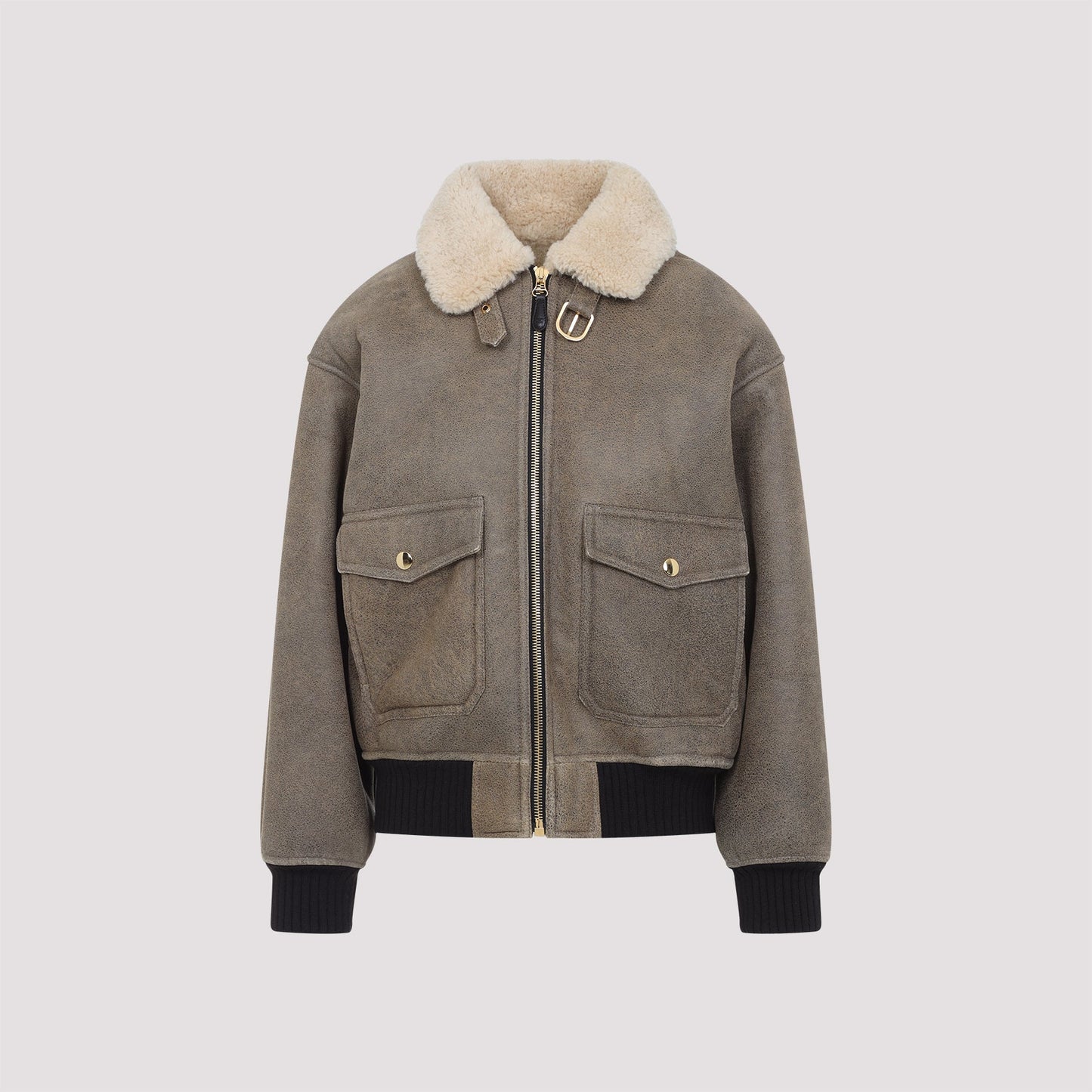 Celine Aviateur Brode Blouson Women CELINE