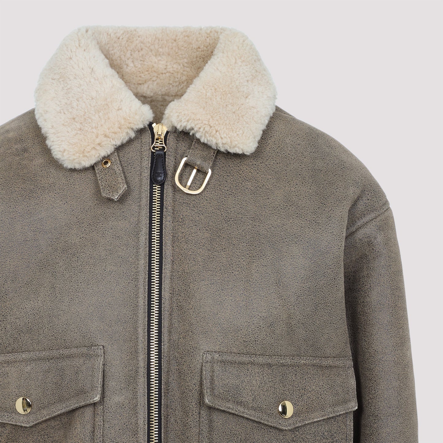 Celine Aviateur Brode Blouson Women CELINE