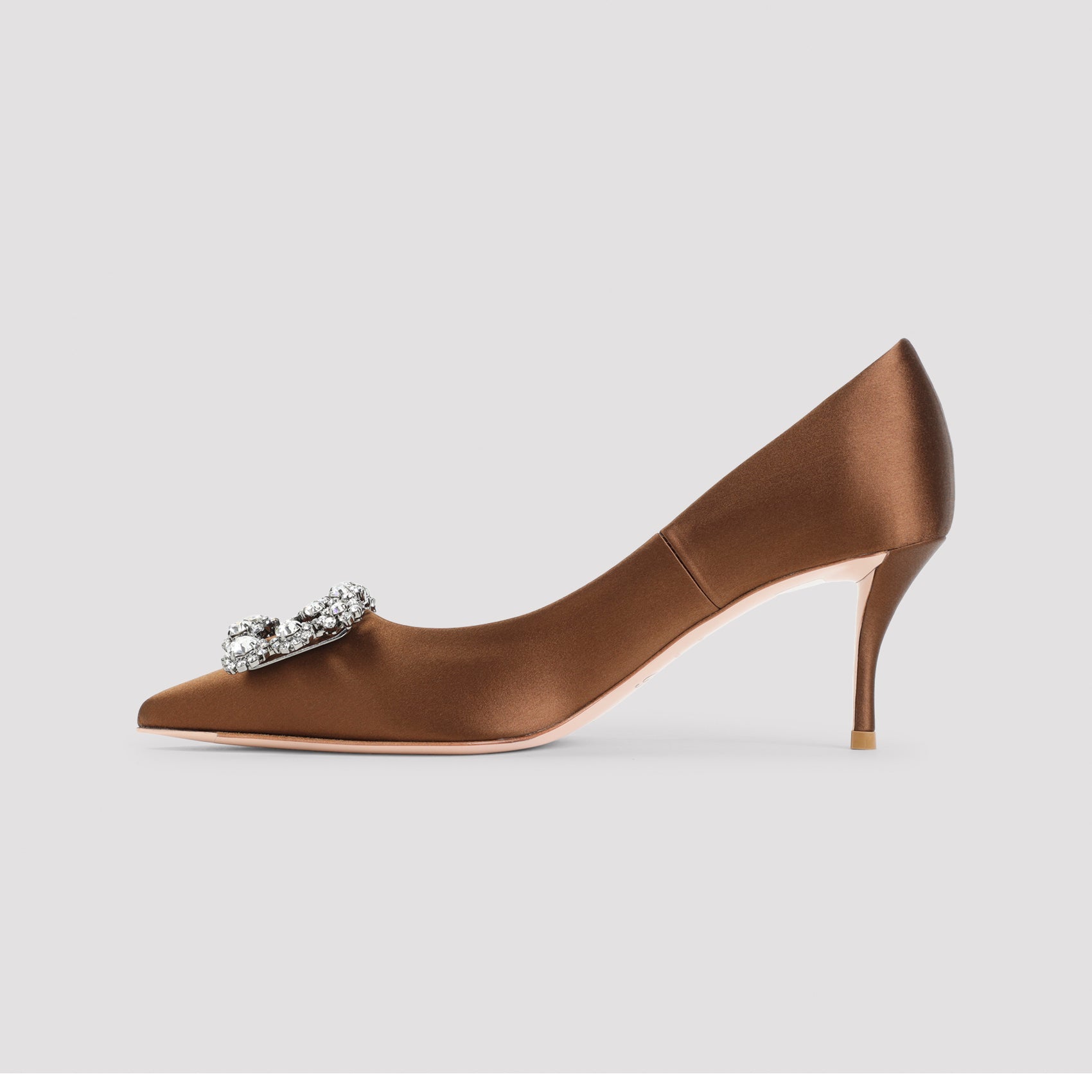Roger Vivier Flower Strass 65 Pumps Women ROGER VIVIER