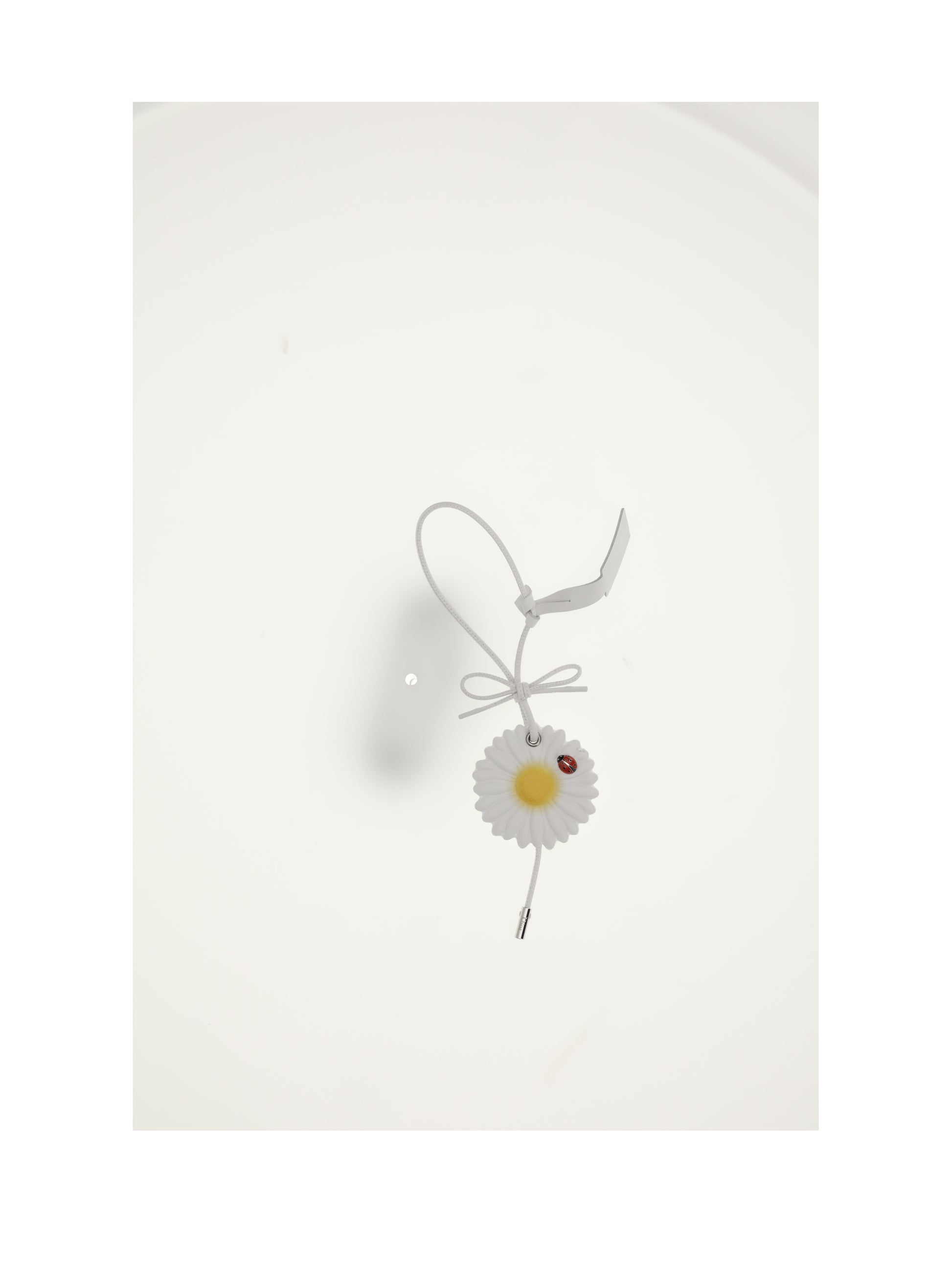 Dior Women Bag Charms CHRISTIAN DIOR