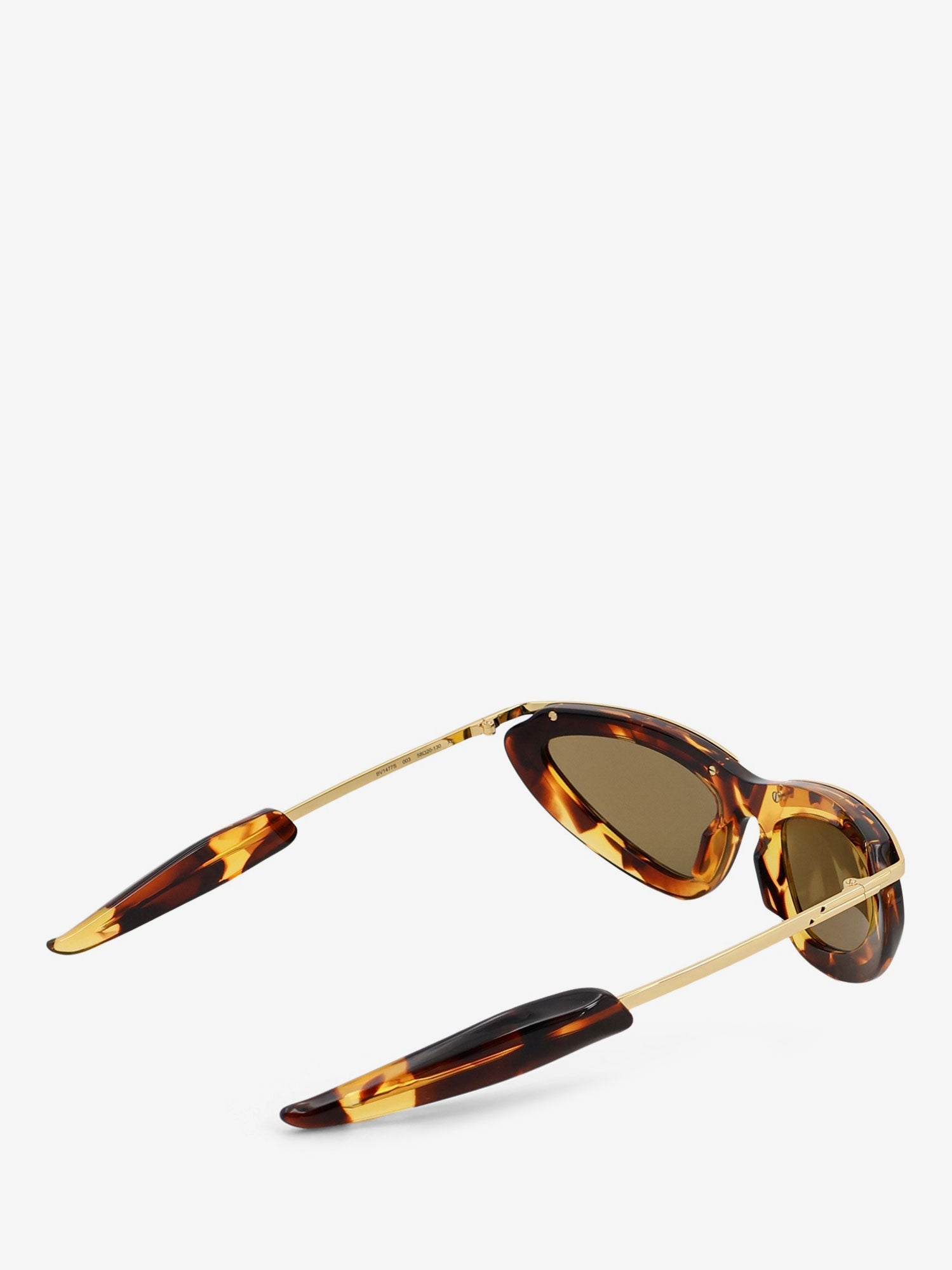 Bottega Veneta Women Prisma Acetate Sunglasses BOTTEGA VENETA