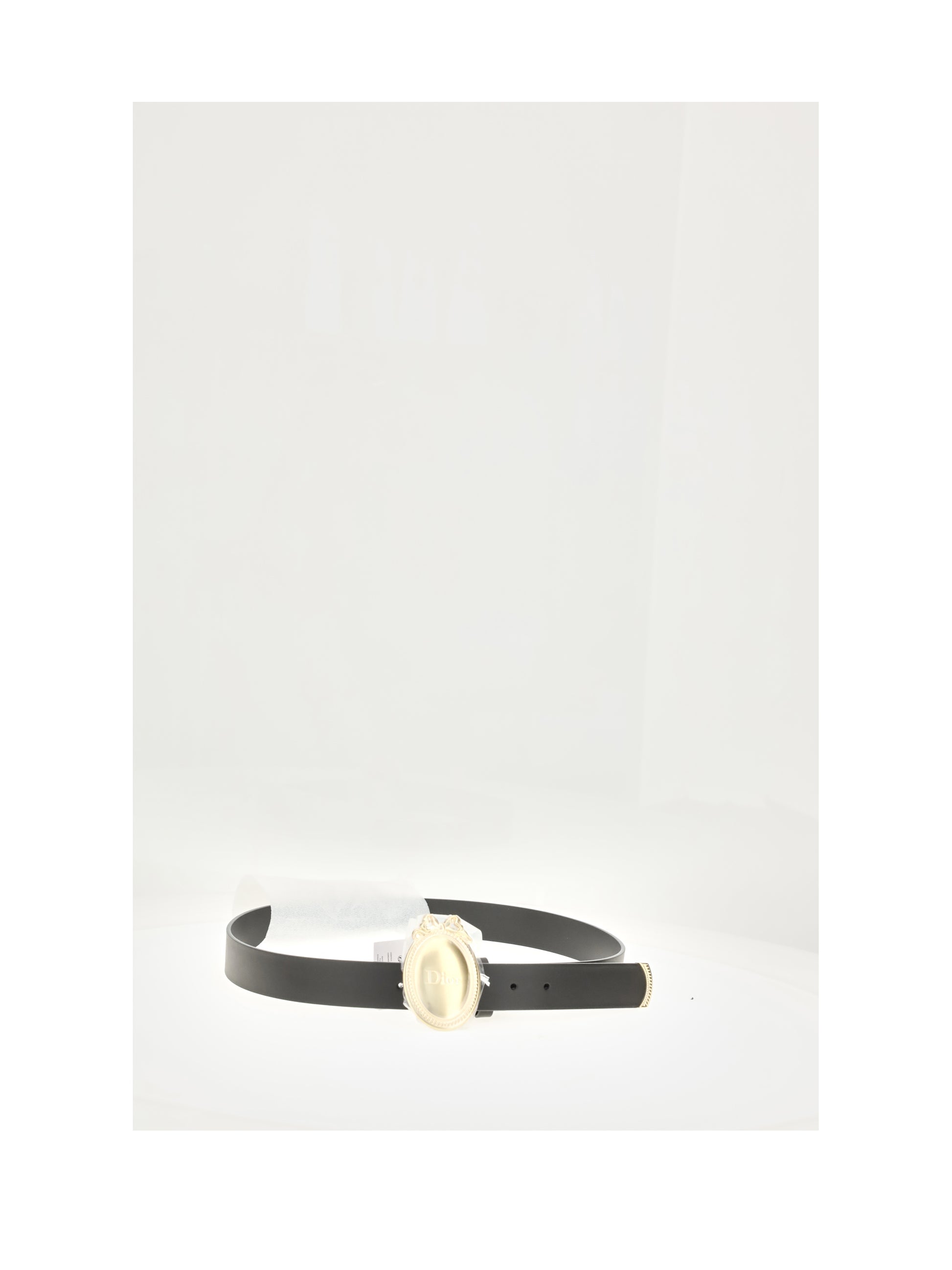 Dior Homme Men Madallion Belt CHRISTIAN DIOR