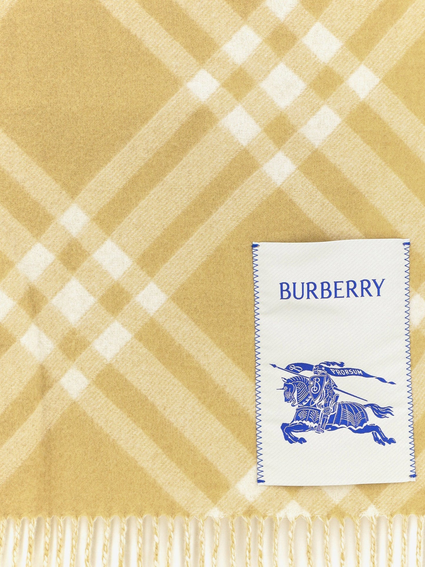 Burberry Women Cashmere Scarf With Check Pattern BURBERRY