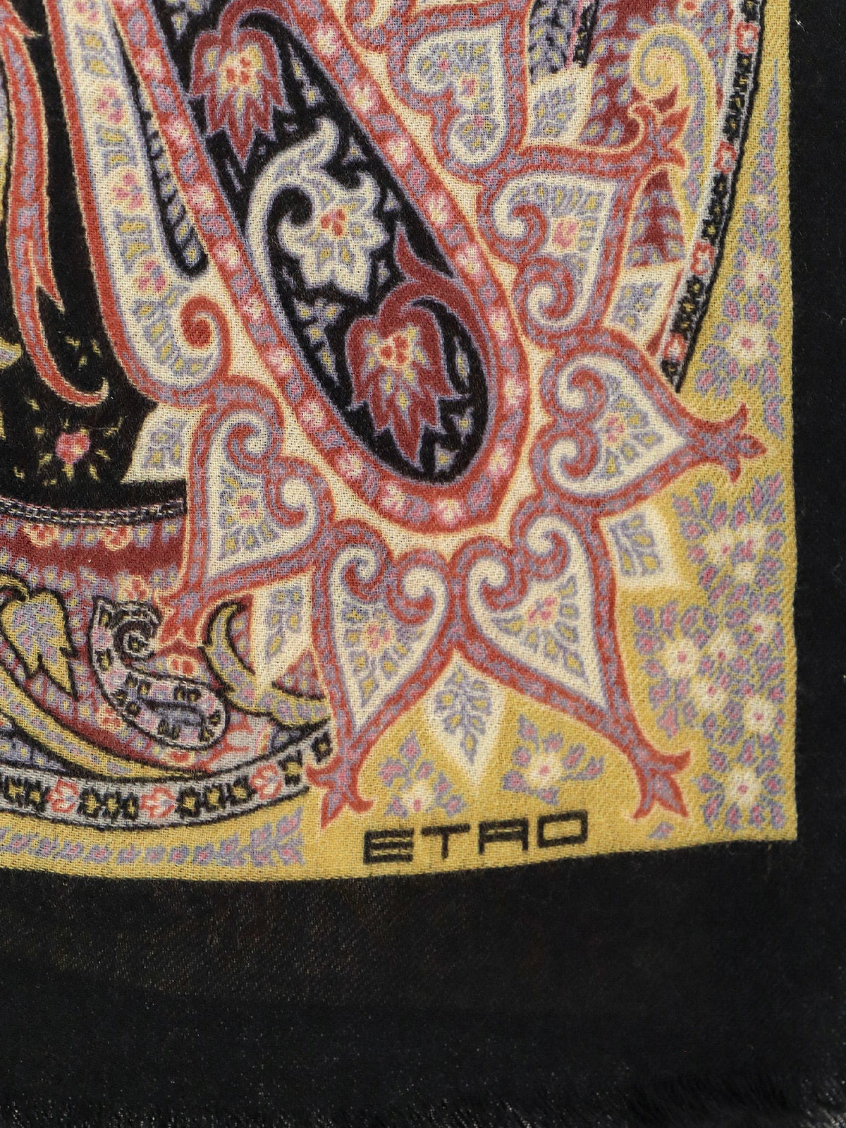 Etro Women Cashmere Scarf ETRO