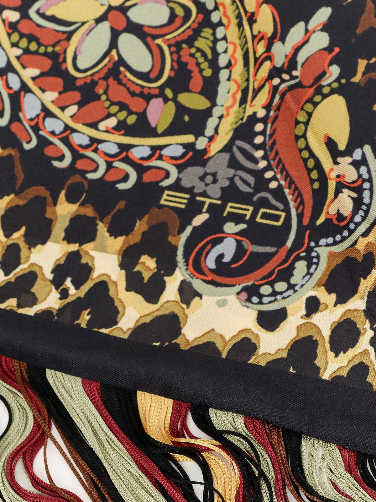 Etro Women Fringed Silk Shawl ETRO