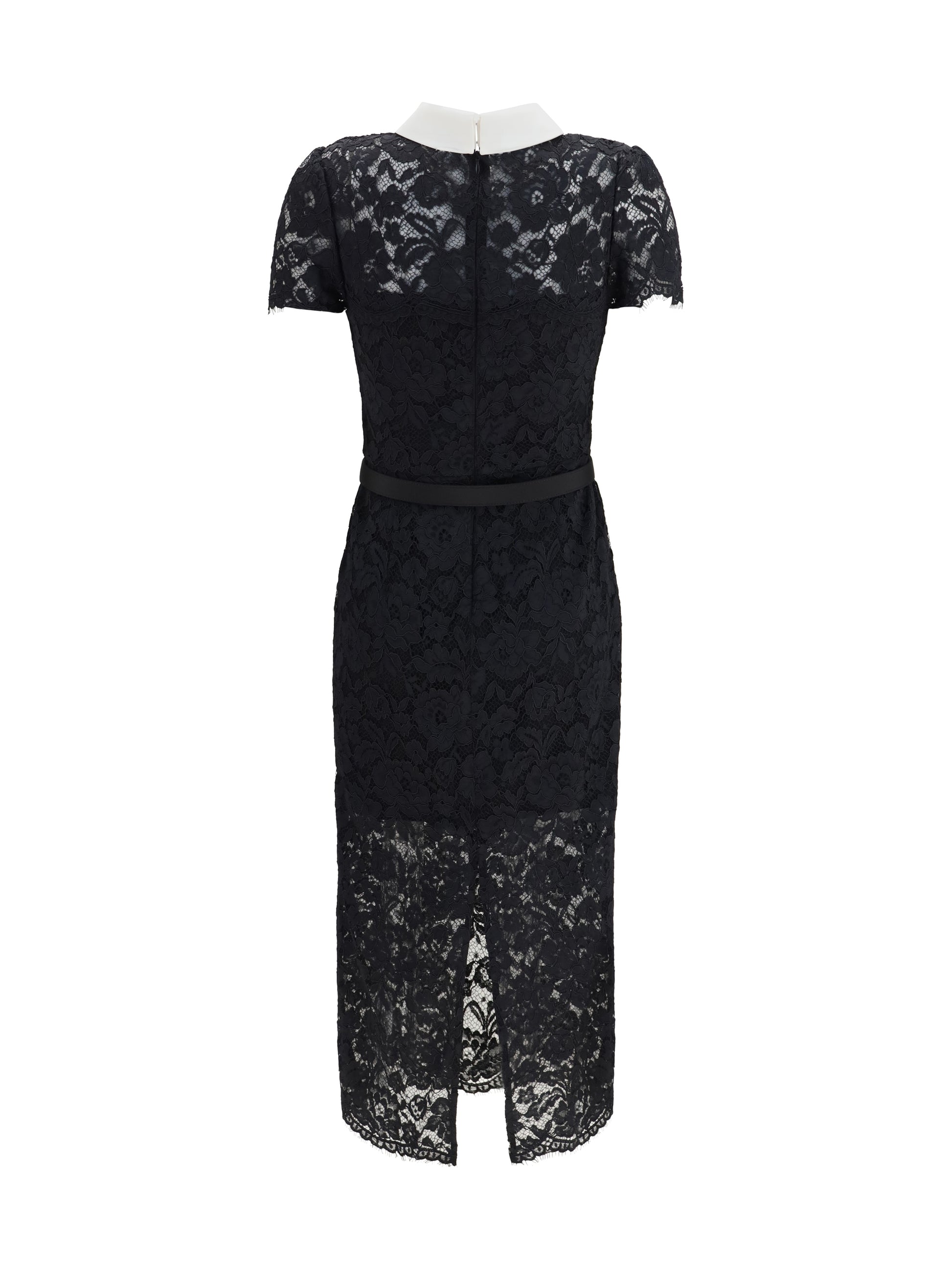 Self-Portrait Women Lace Contrast Collar Midi Dress SELF-PORTRAIT