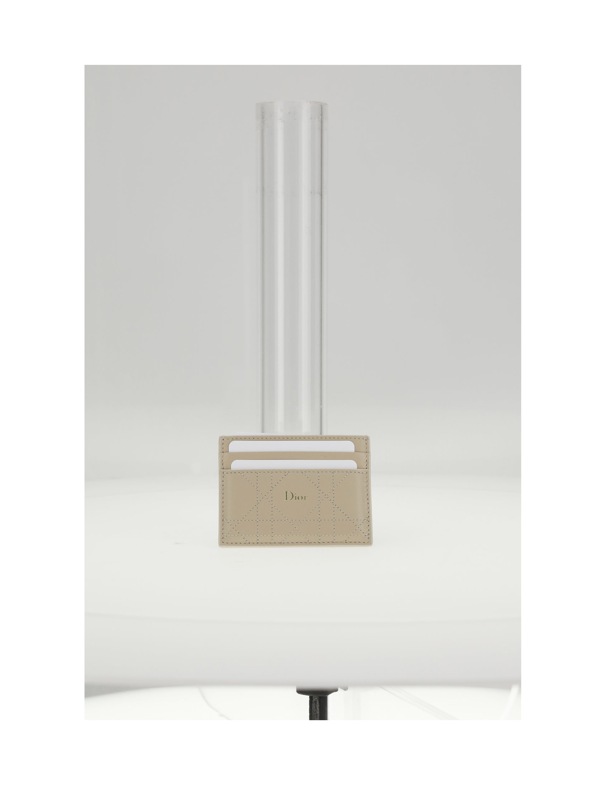 Dior Women Small Shape CHRISTIAN DIOR