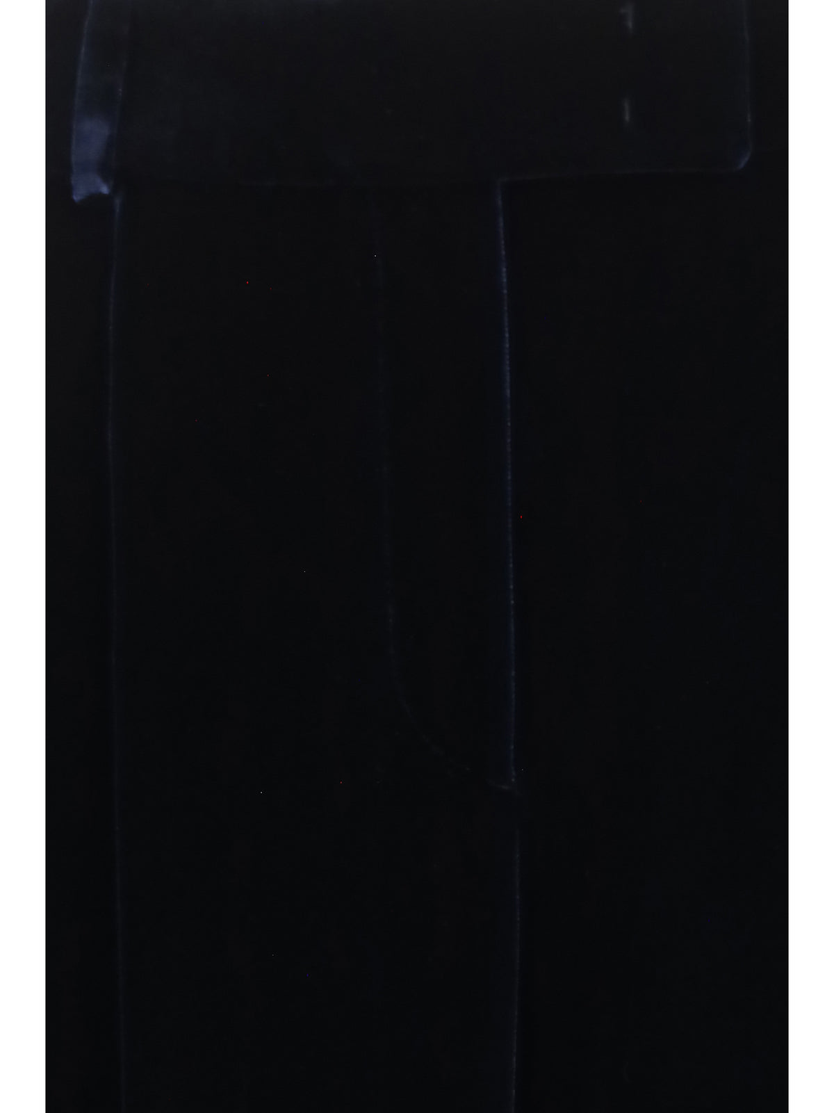 Giorgio Armani Women Wide Leg Pants With Double Pleats In Viscose And Silk Velvet GIORGIO ARMANI