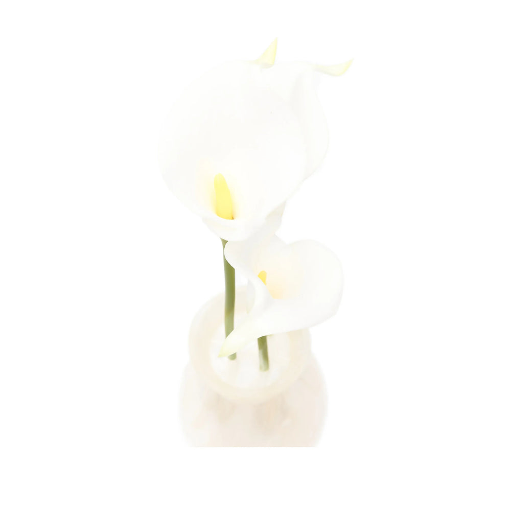 Cult Gaia White Clutch Bags Women CULT GAIA