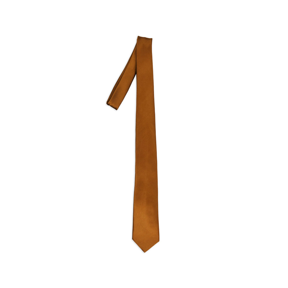 Saint Laurent Brown Ties & Bow Ties Men SAINT LAURENT
