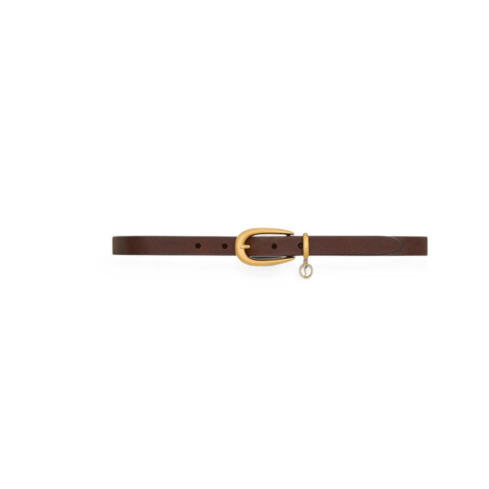 Saint Laurent Brown Belts Women SAINT LAURENT