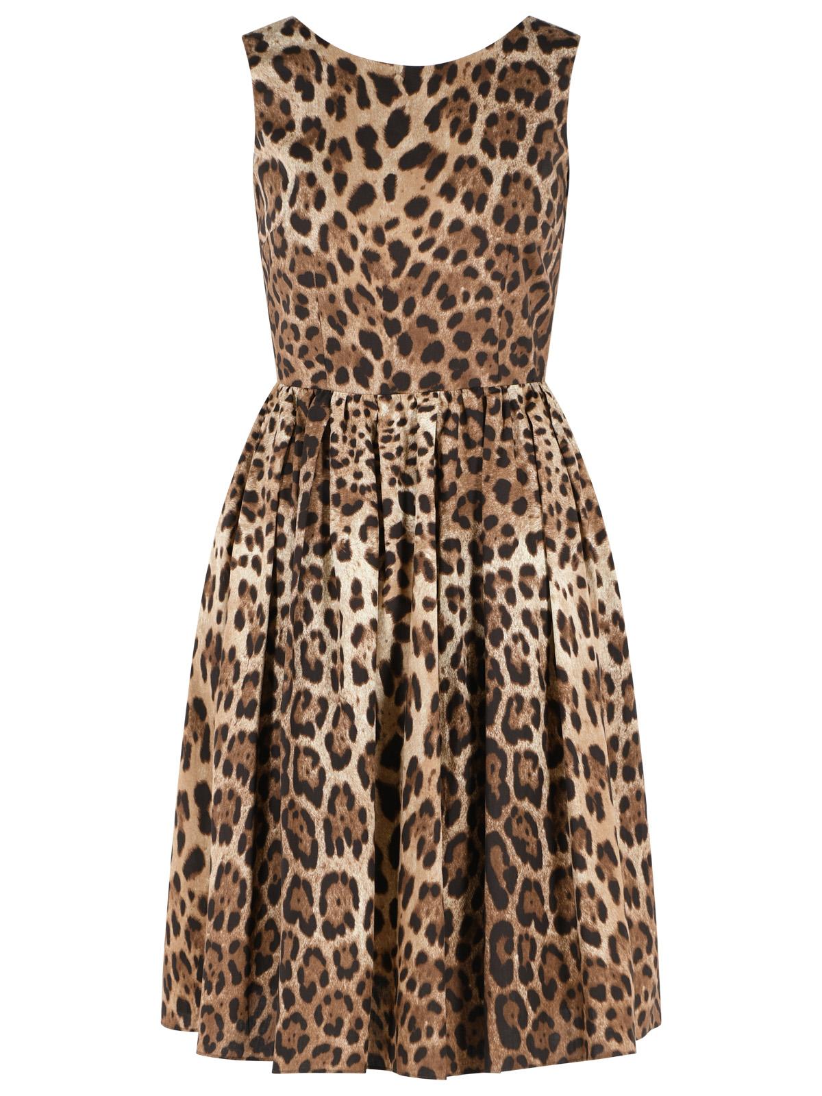 Dolce & Gabbana Leopard Print Cotton Dress Women DOLCE & GABBANA
