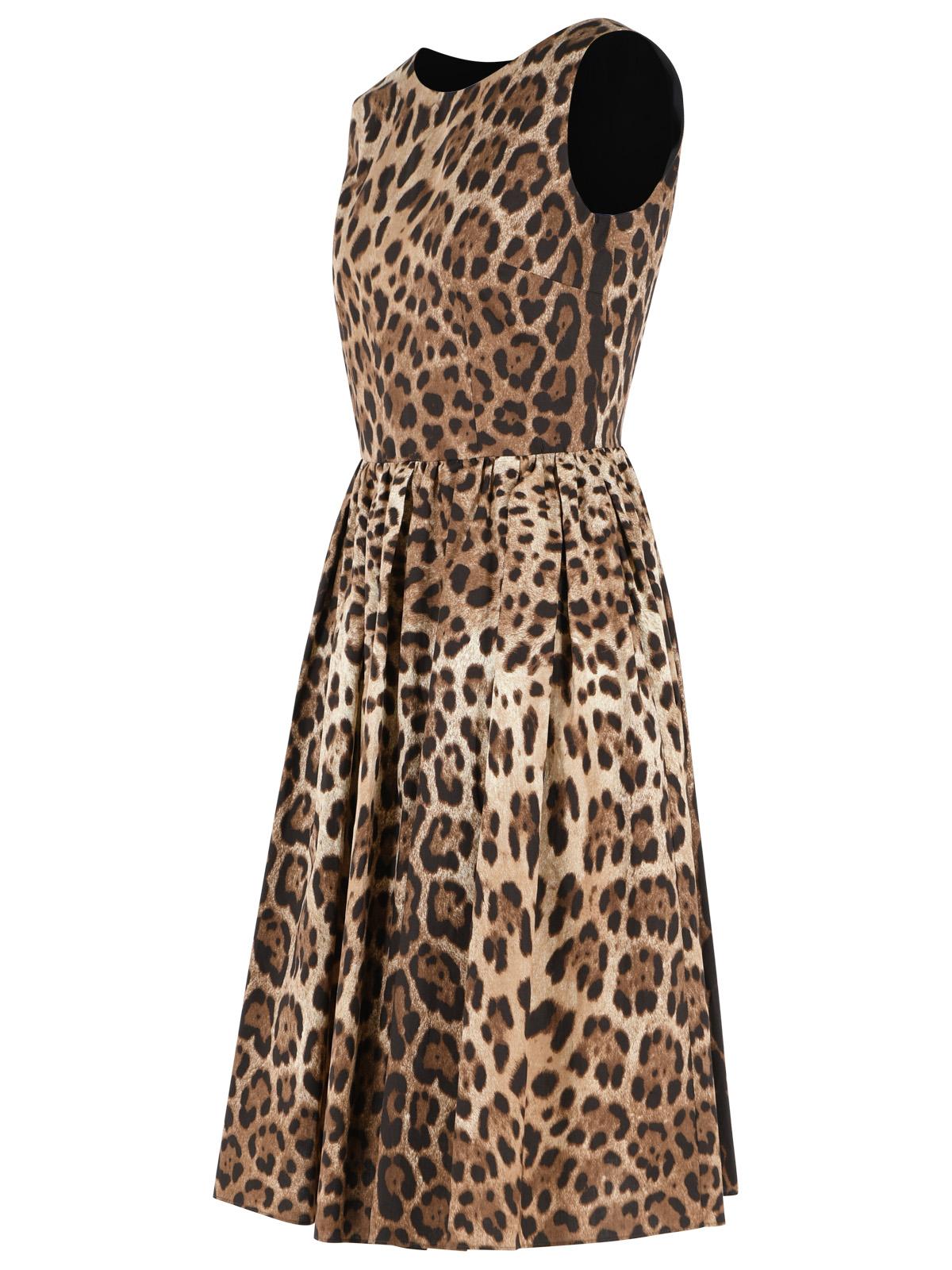 Dolce & Gabbana Leopard Print Cotton Dress Women DOLCE & GABBANA
