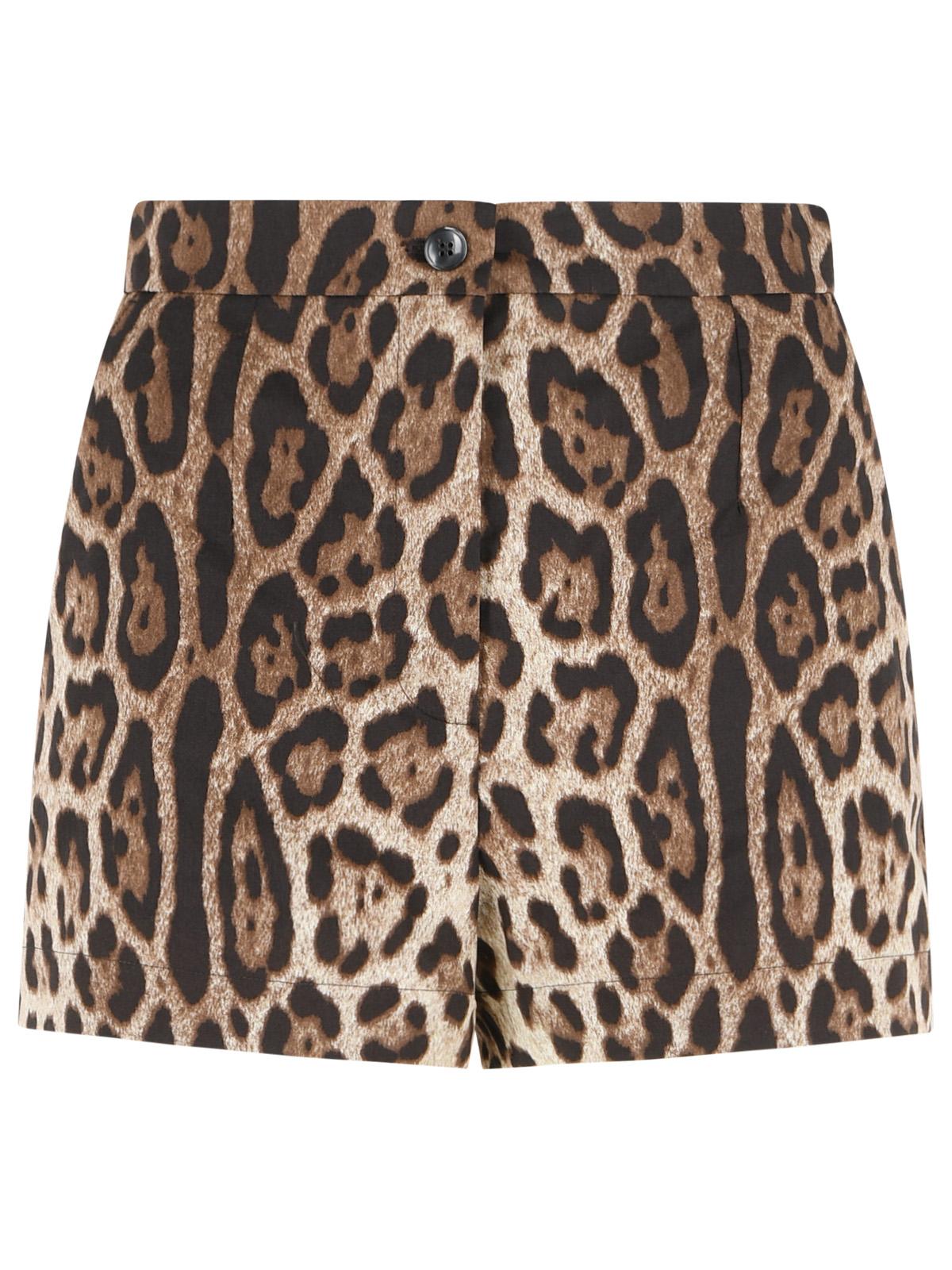 Dolce & Gabbana Leopard Print Cotton Shorts Women DOLCE & GABBANA
