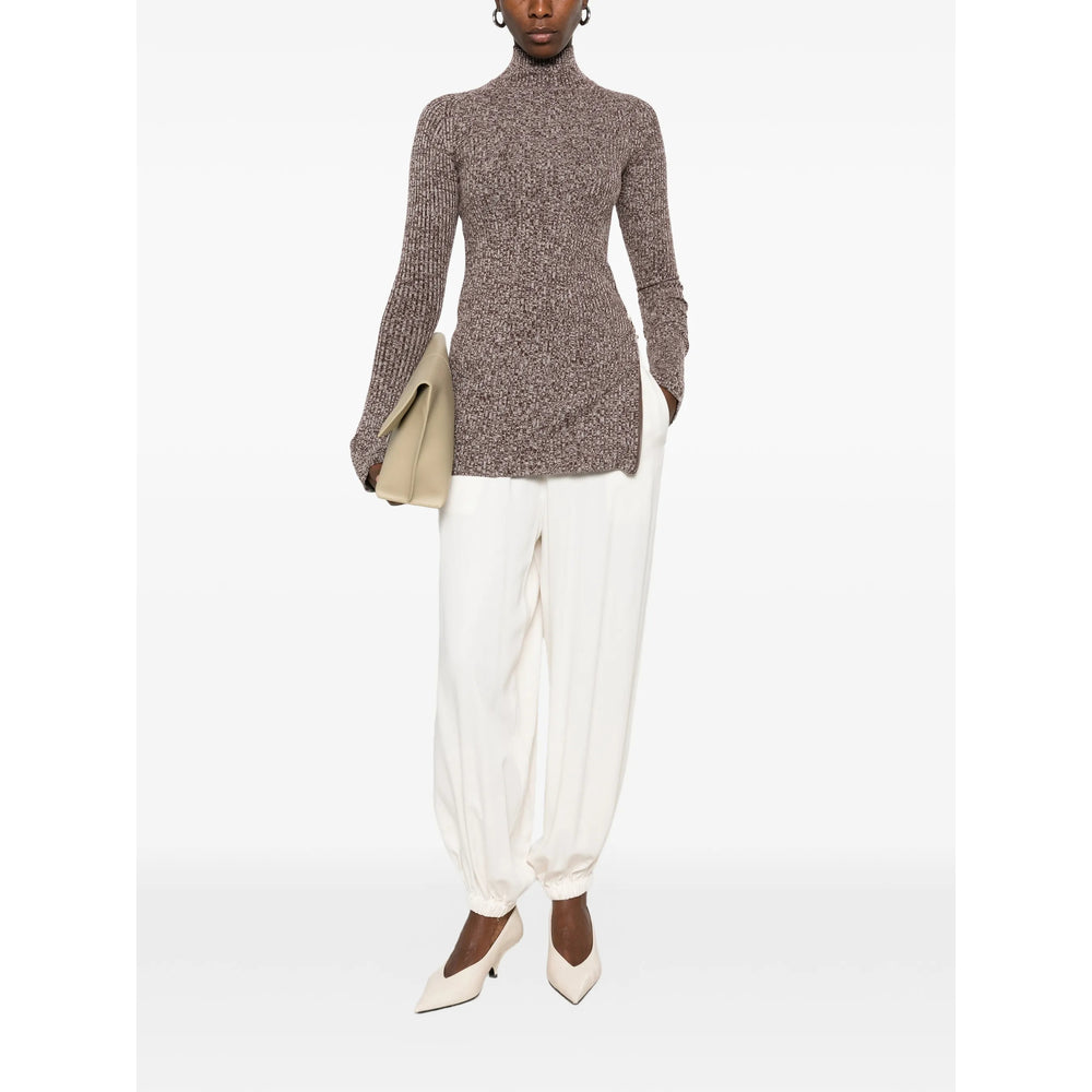 Sportmax Brown Knitwear - Jumpers Women SPORTMAX