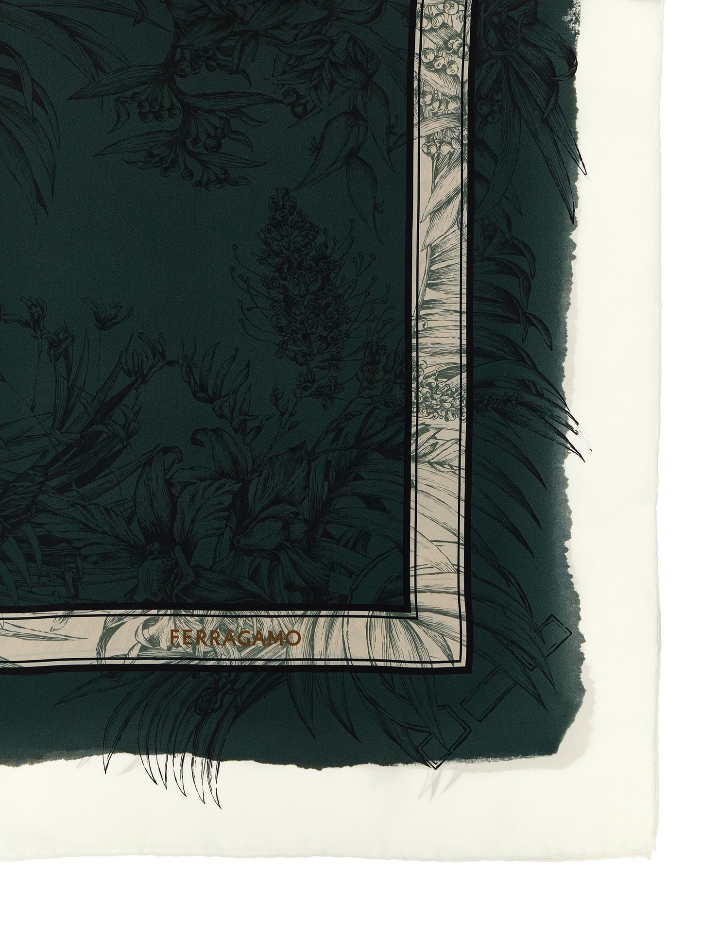 Ferragamo Women 'Gravure' Print Scarf