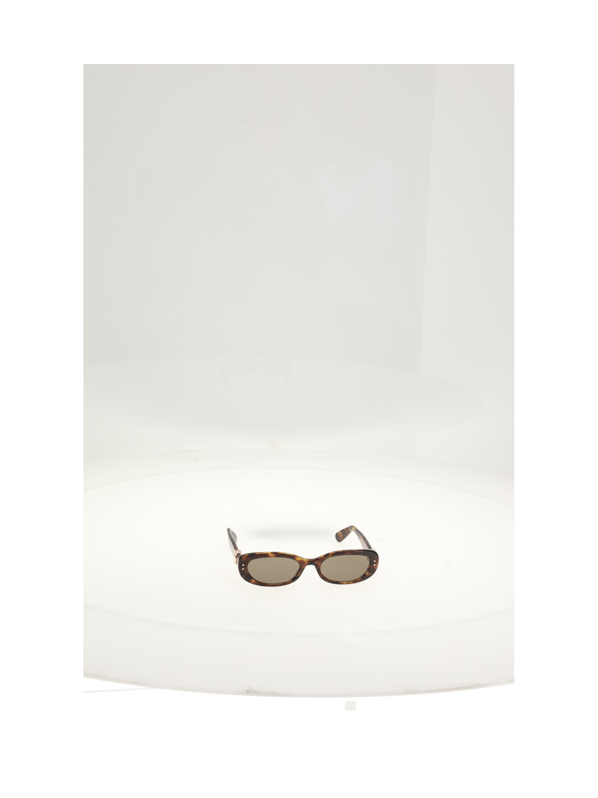 Dior Women Sunglasses CHRISTIAN DIOR