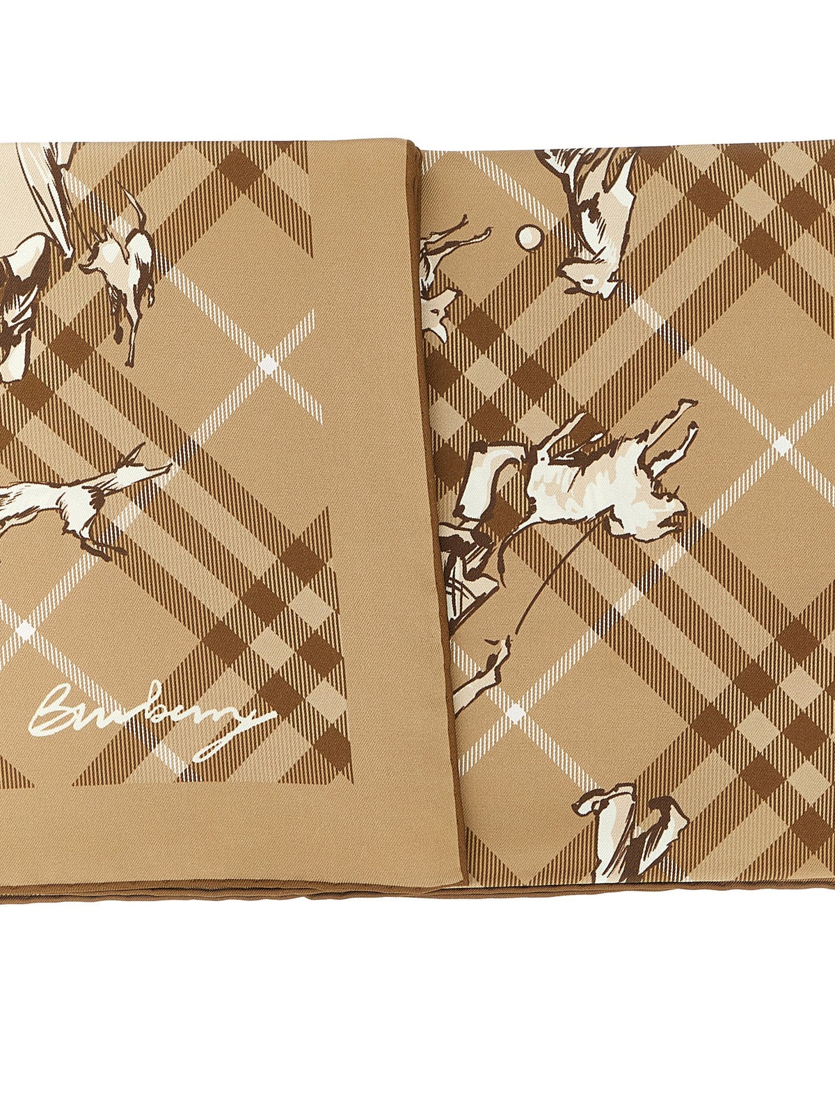 Burberry Women 'Check Mates' Scarf BURBERRY