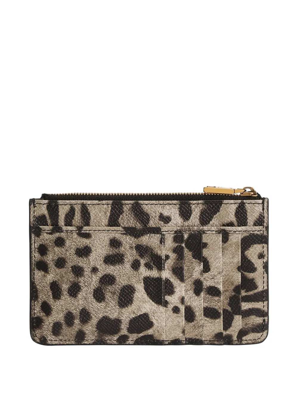 Dolce & Gabbana Women Printed Wallet